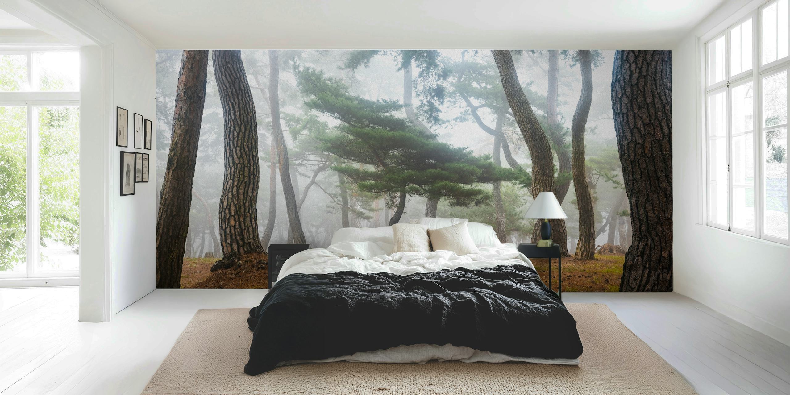 Misty forest wall mural depicting tall pine trees surrounded by a soft fog