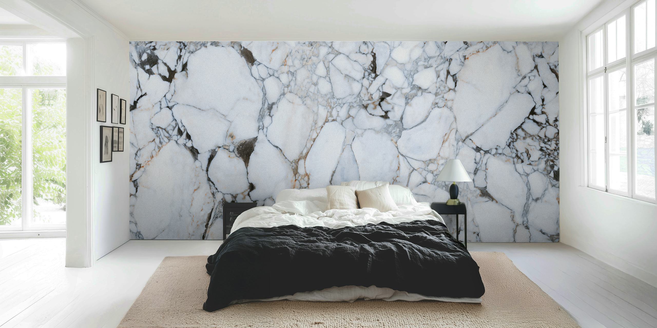 Breccia Medicea White Marble tapet i ett rum
