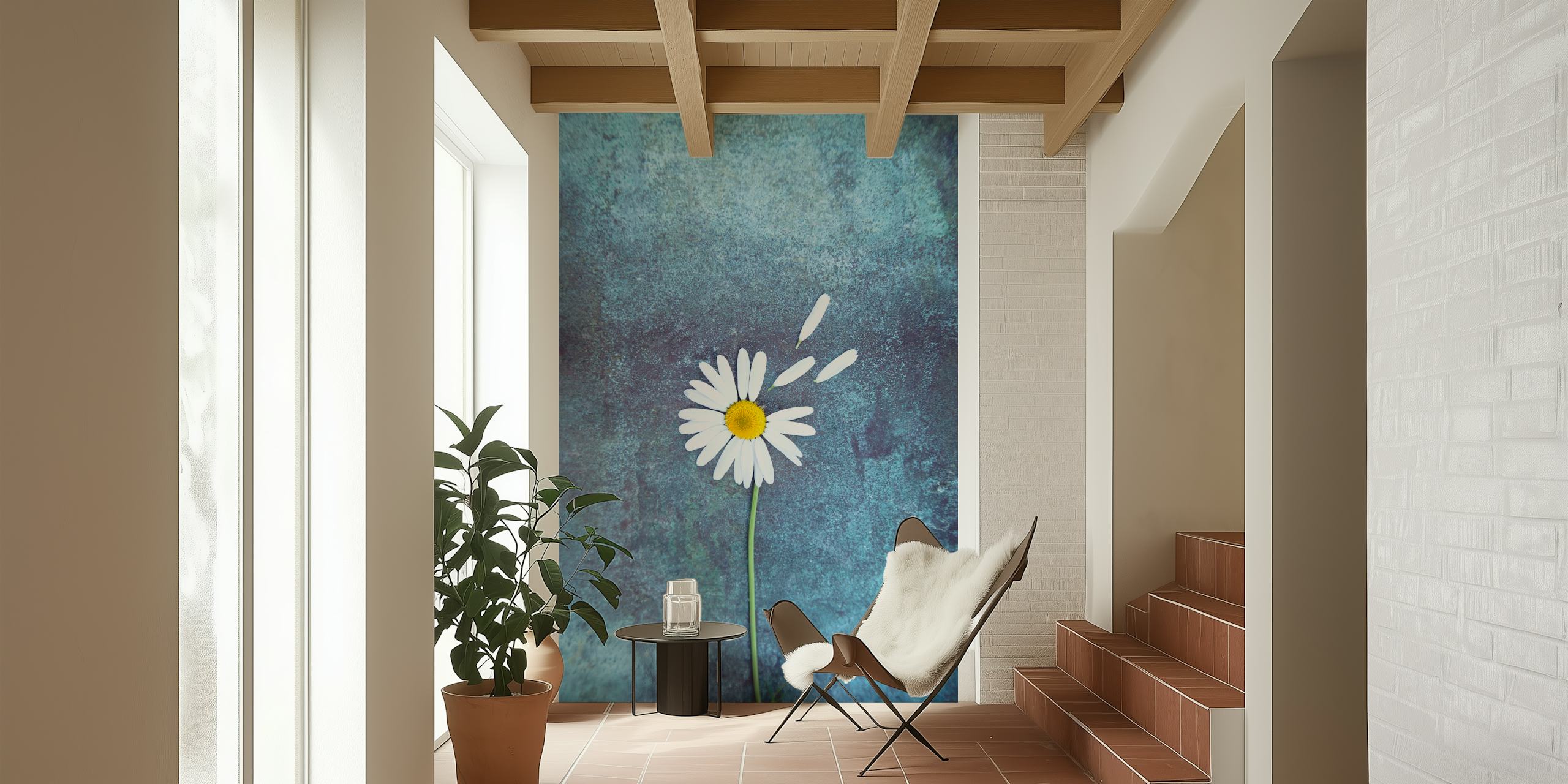 White daisy flower with yellow center on blue background wallpaper