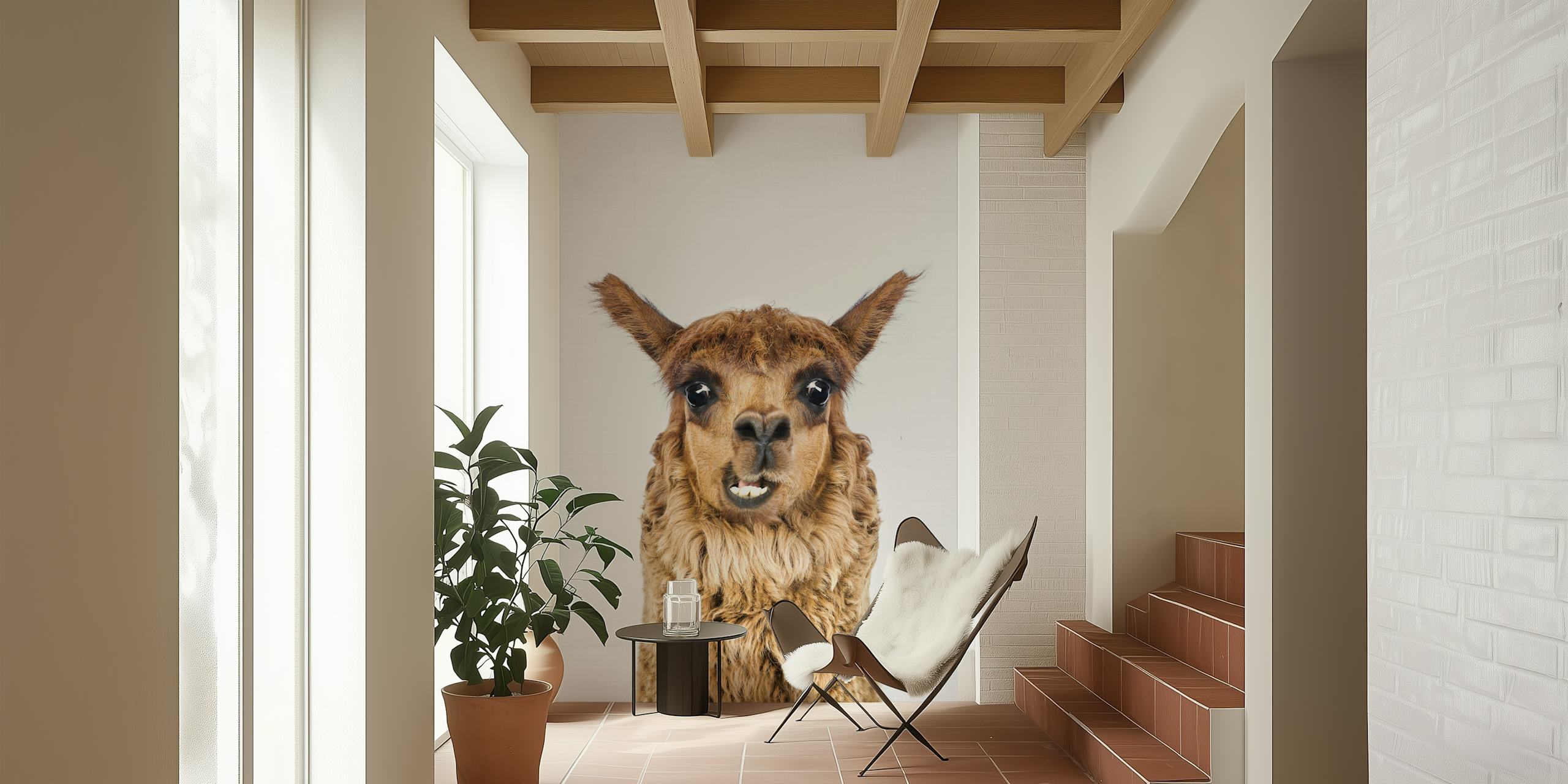 Happy Alpaca tapet i ett rum