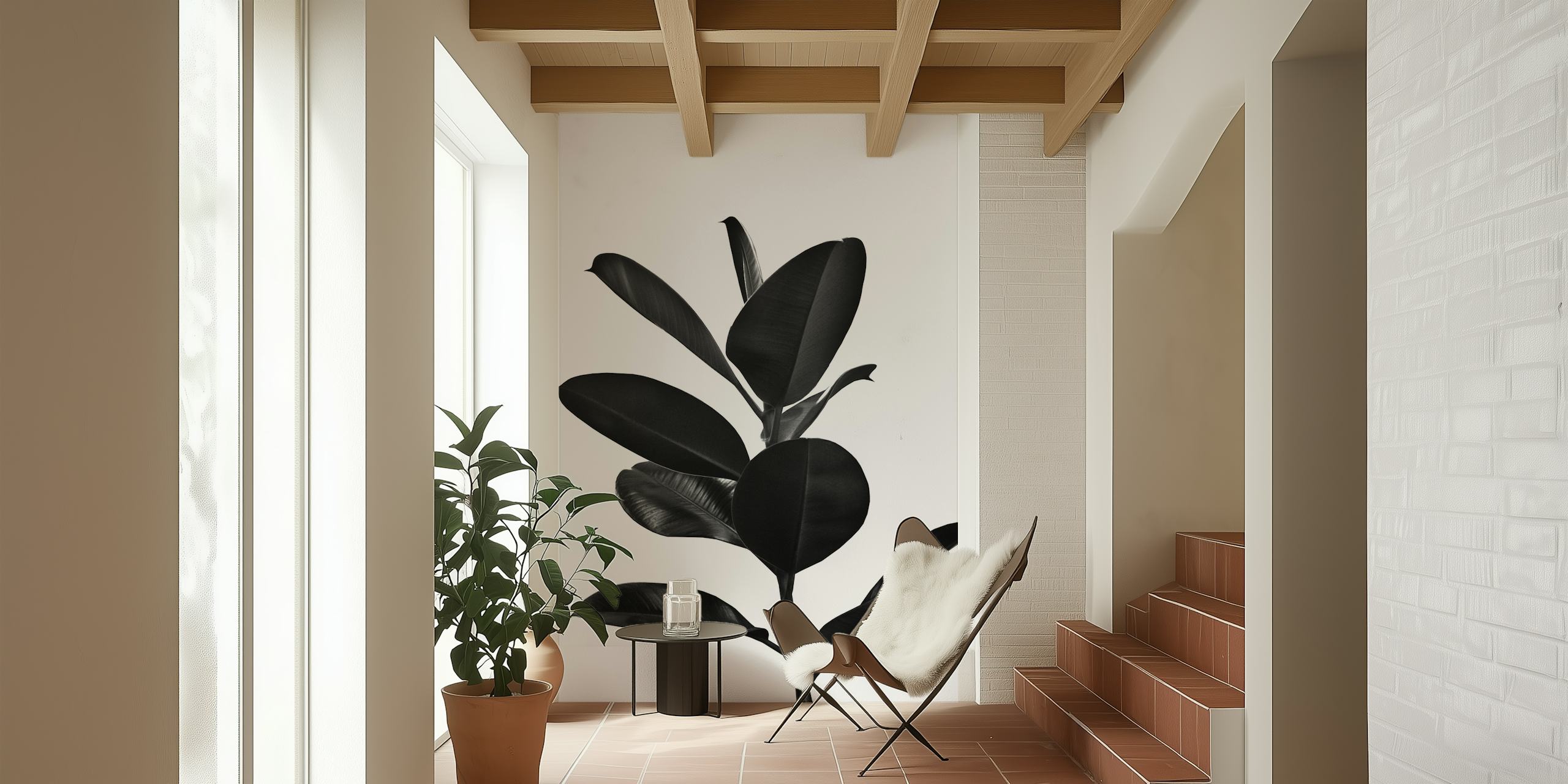 Ficus Finesse 2 zidna obloga u sobi