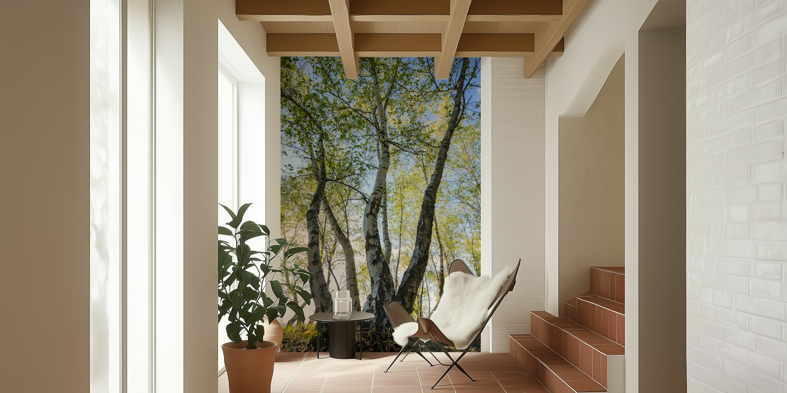 Birch trees with light green leaves and textured trunks wallpaper