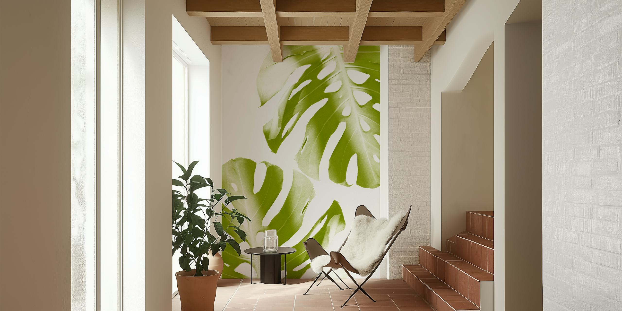 Green Monstera leaves on white background wallpaper