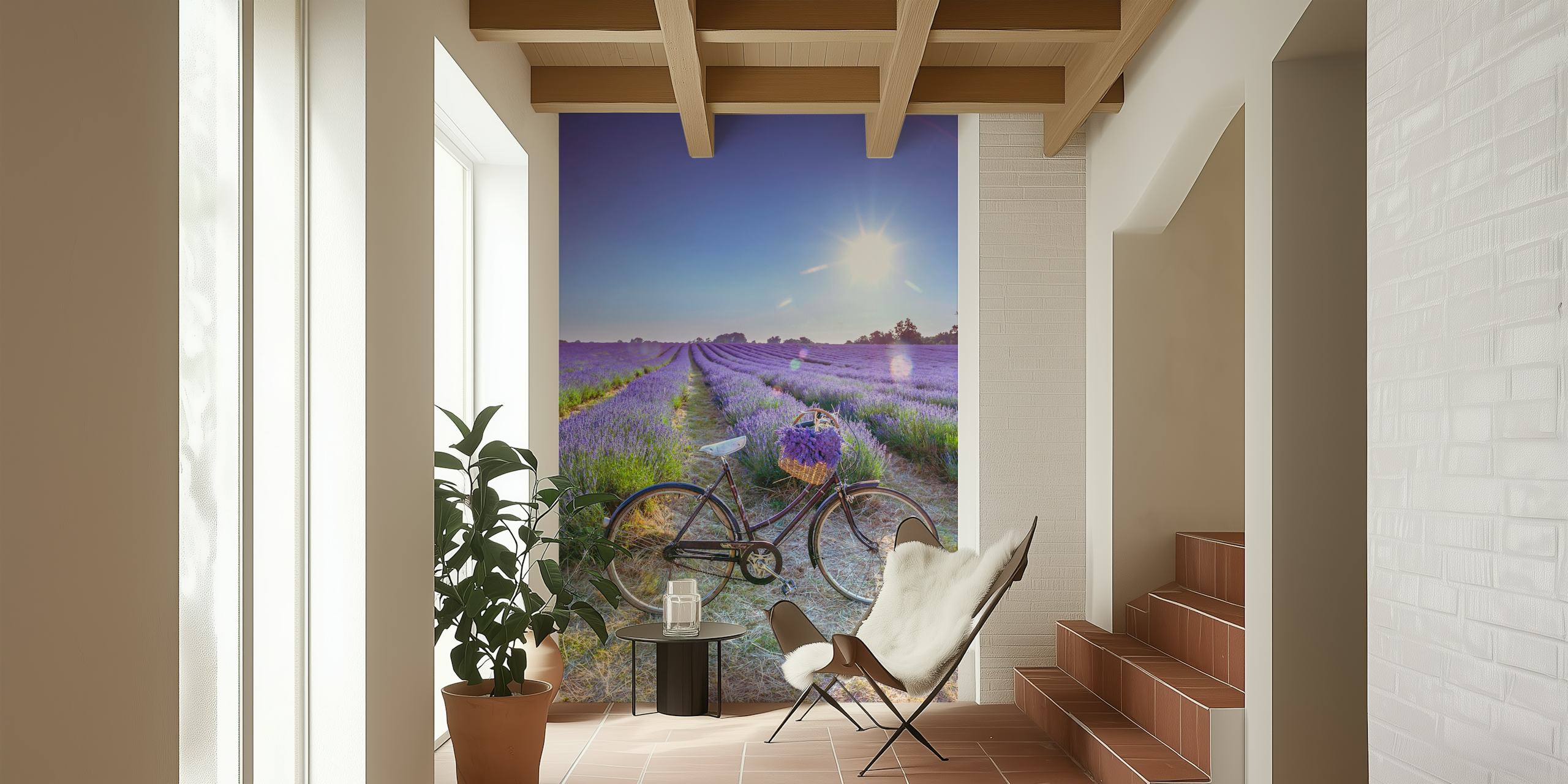Bicycle in a lavender field with purple flowers wallpaper