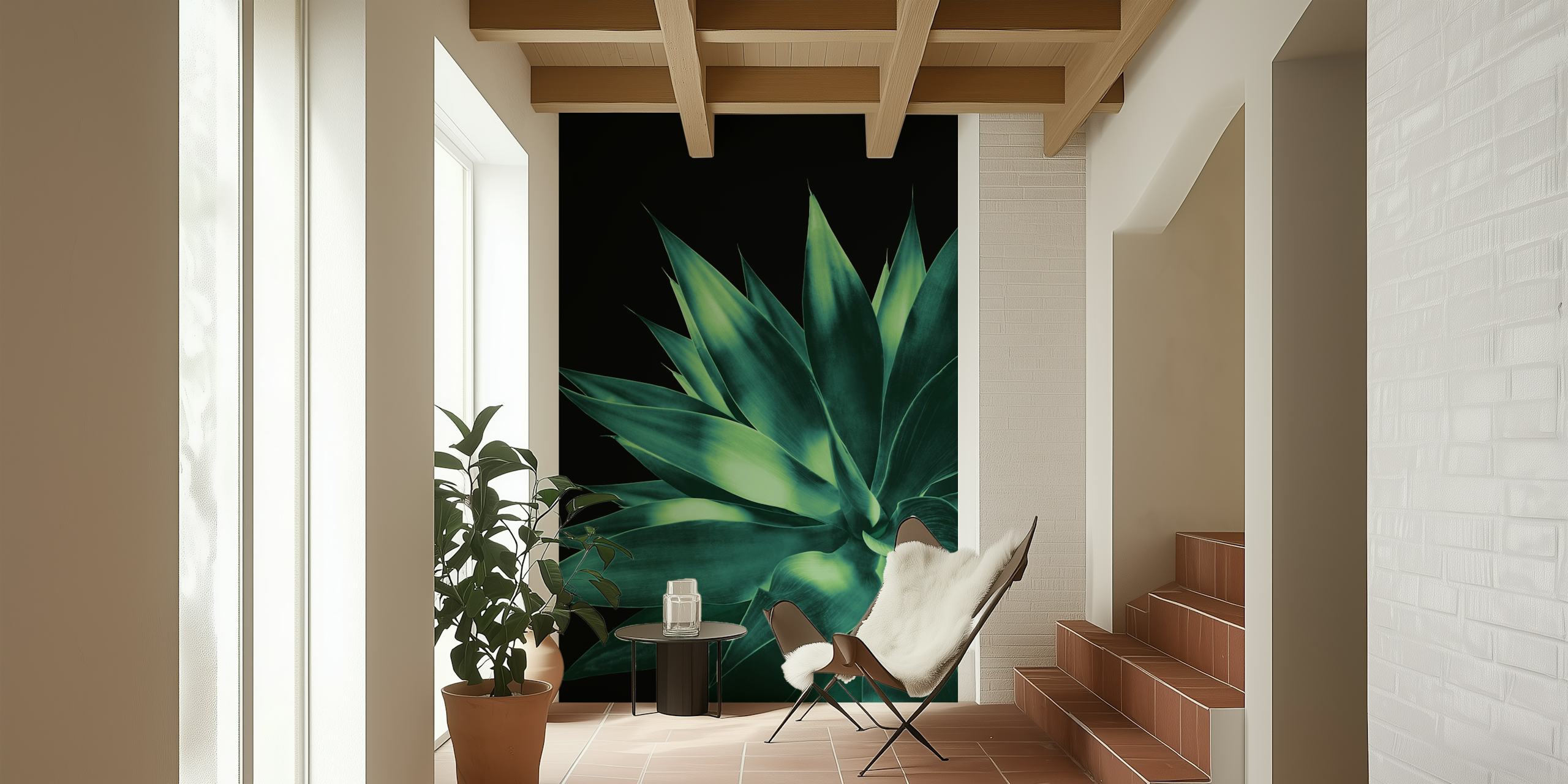 Large agave leaves in dark green against black background wallpaper