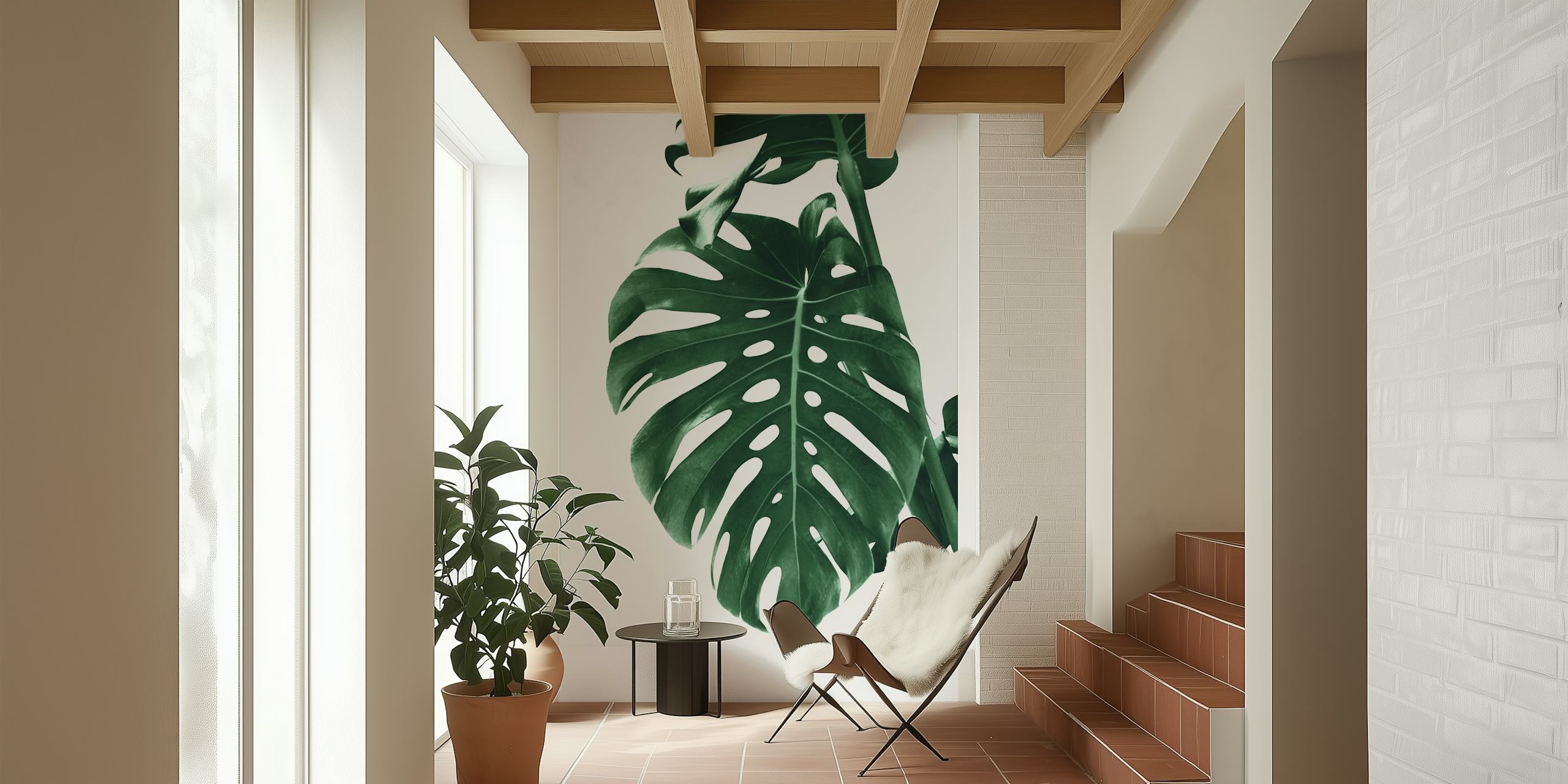 Green monstera leaf on white background wallpaper