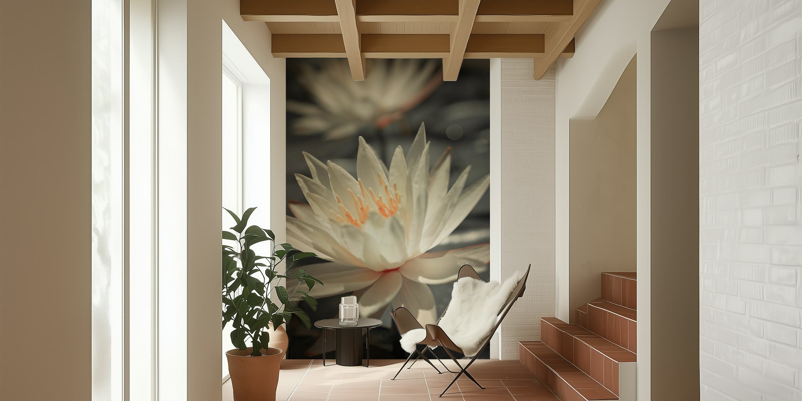 White water lilies on dark background wallpaper