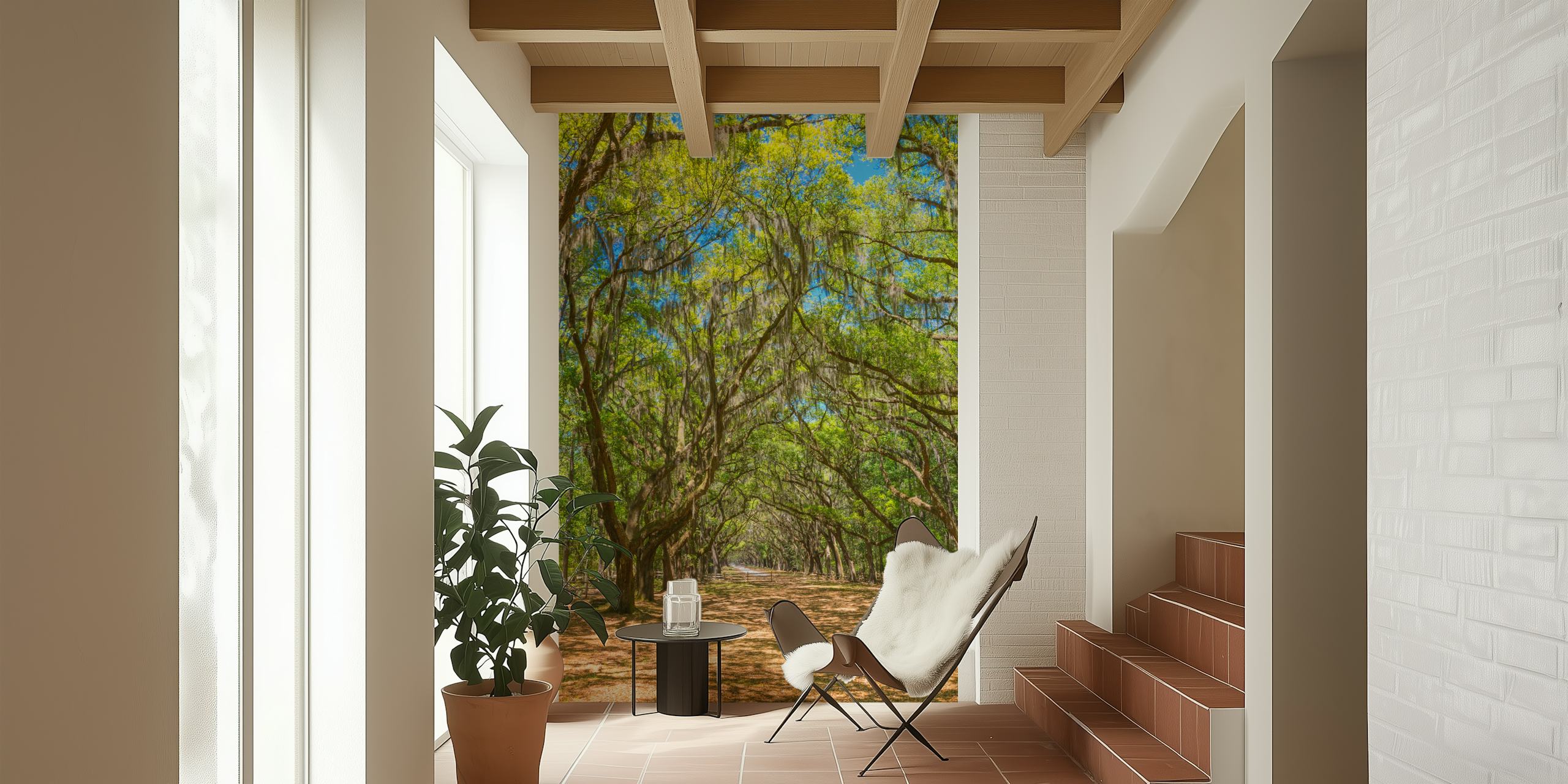 Canopy of old live oak trees tapet