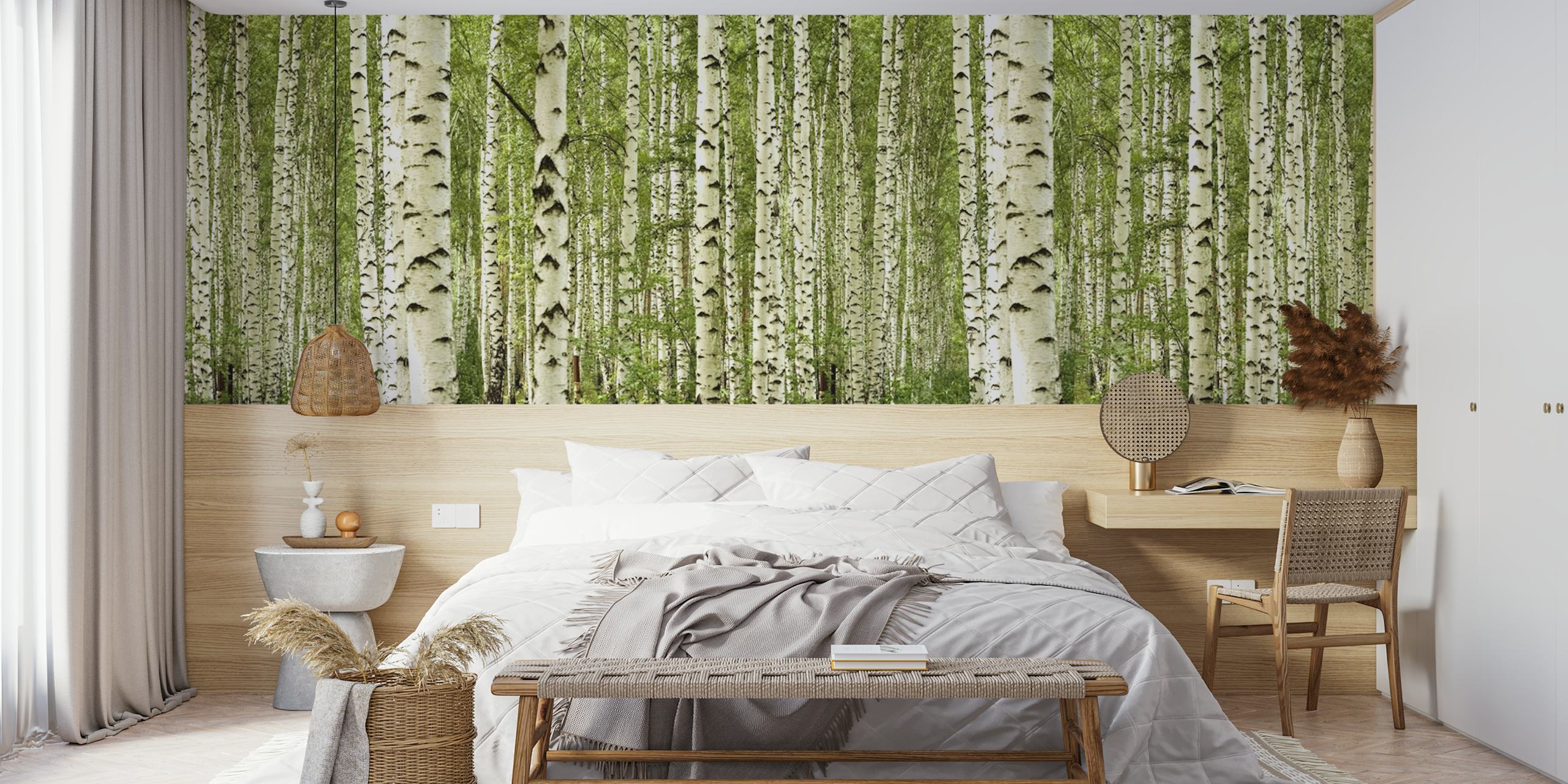 Birch Trees XXL veggmaleri som viser en tett bjørkeskog med hvit bark og grønne blader