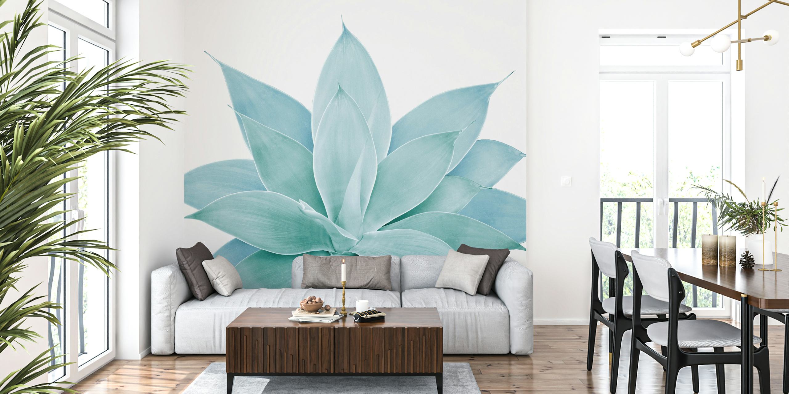 Agave plant leaves green wallpaper