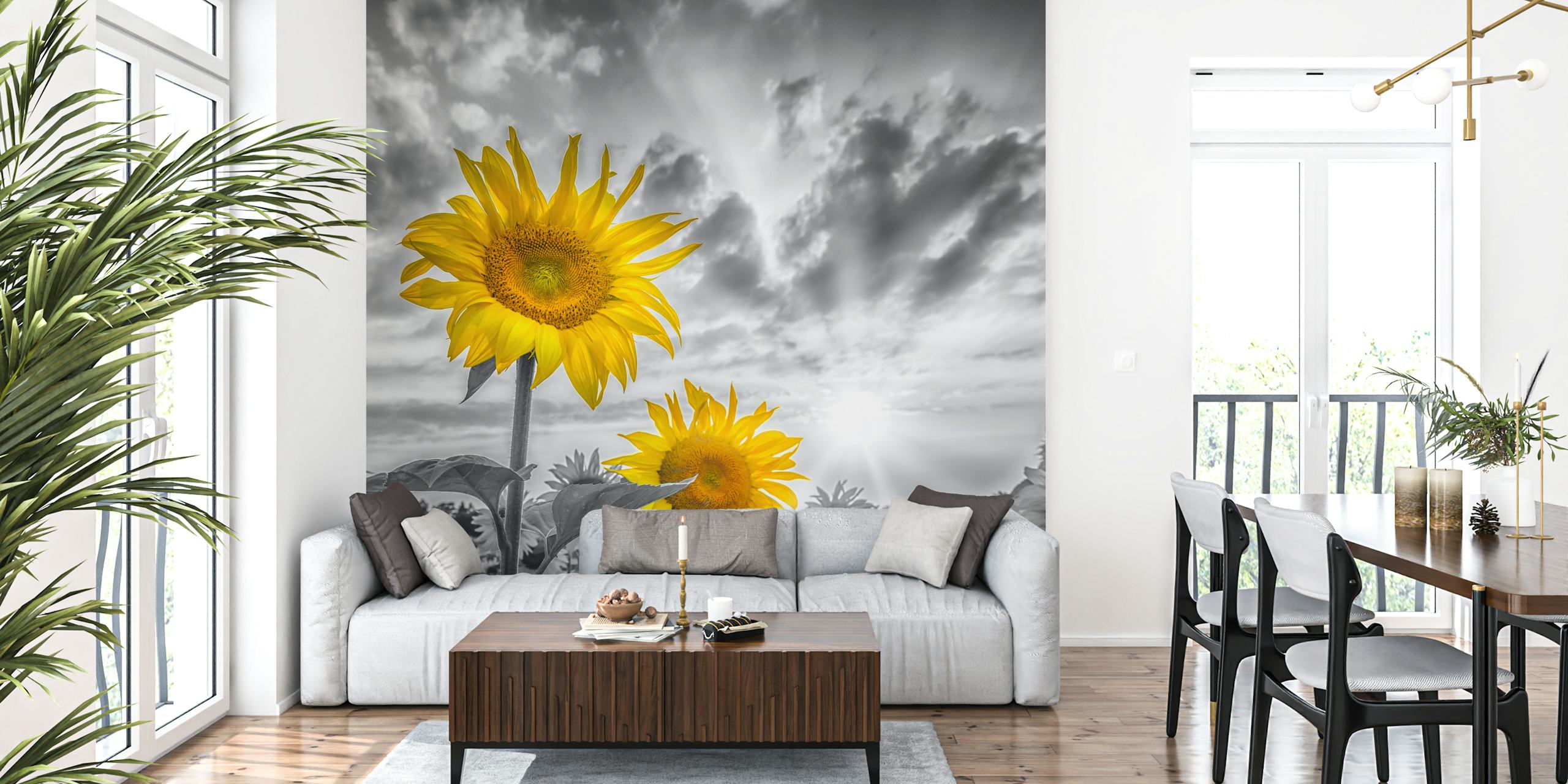 Yellow sunflowers on a black and white background wallpaper