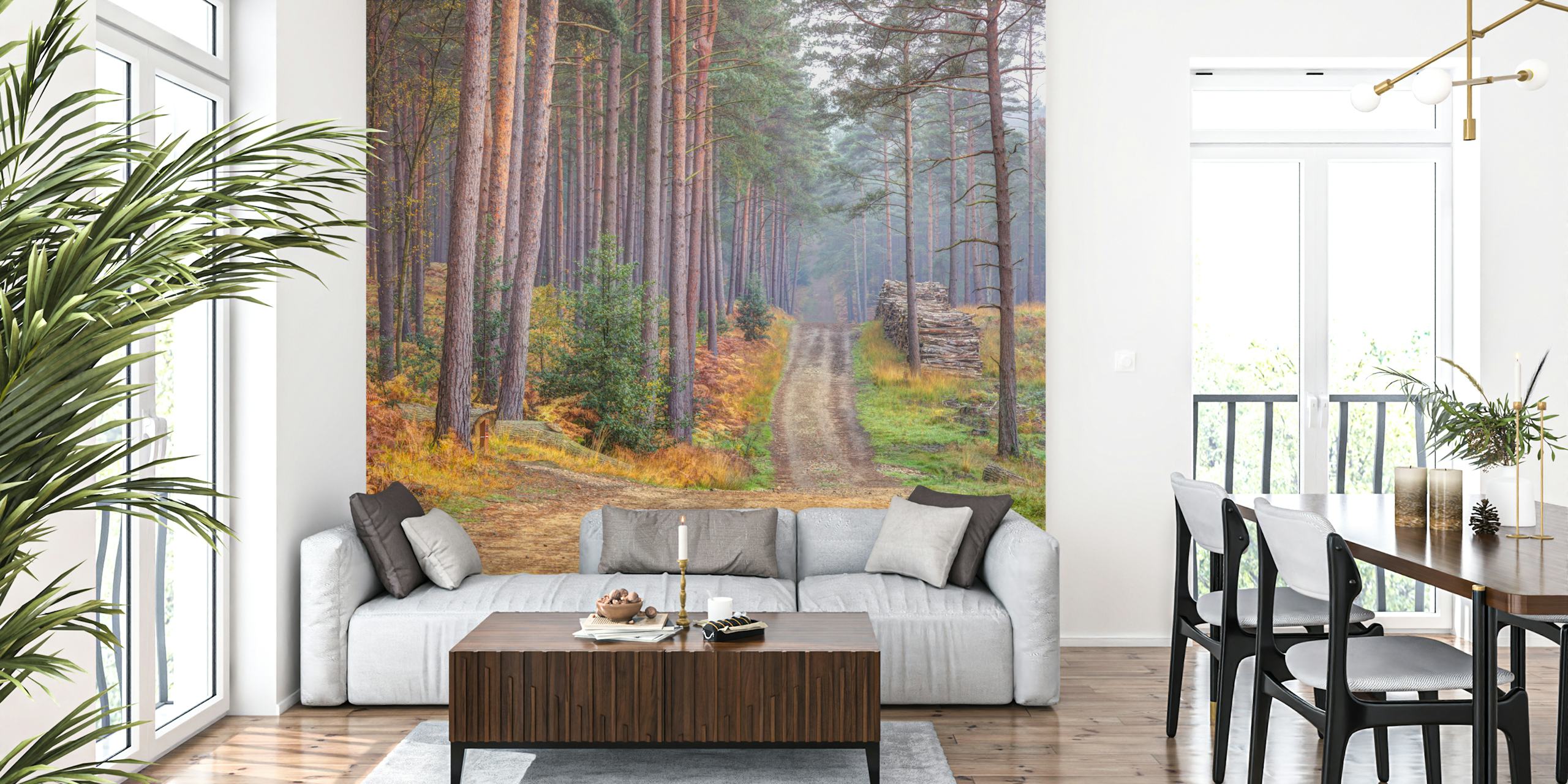 Papel de parede Serene Road Through Autumn Splendor em um quarto