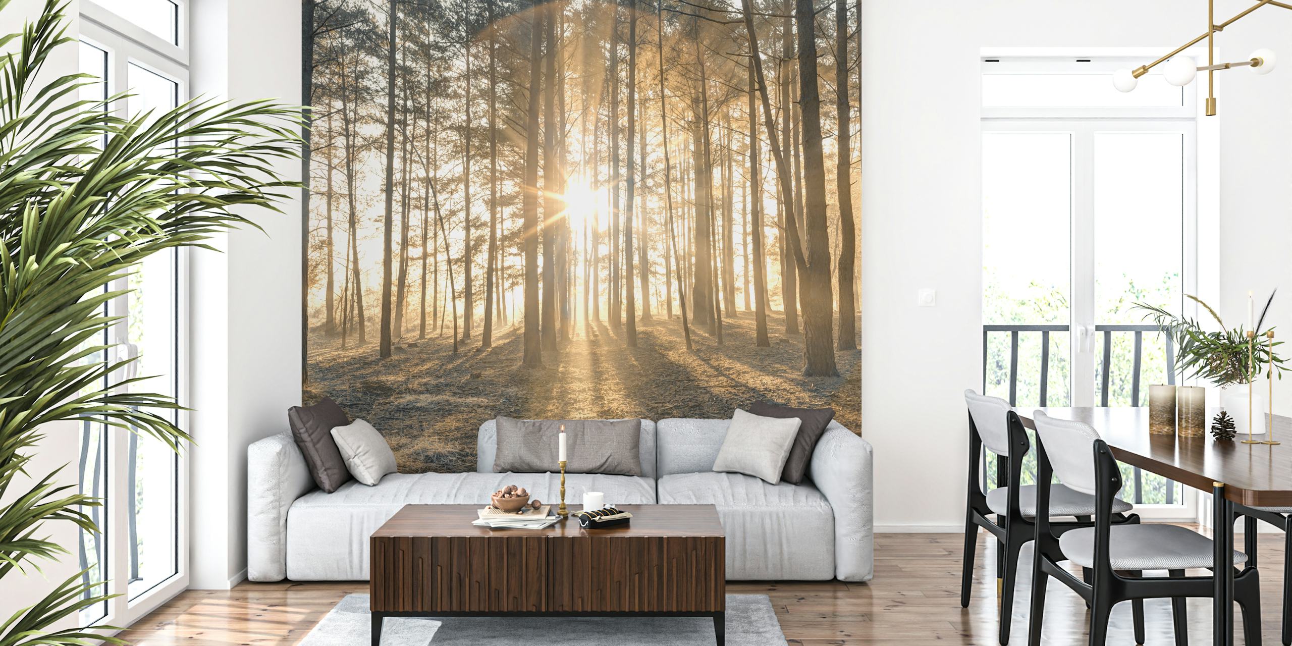 Misty forest with sunrays wallpaper in a room