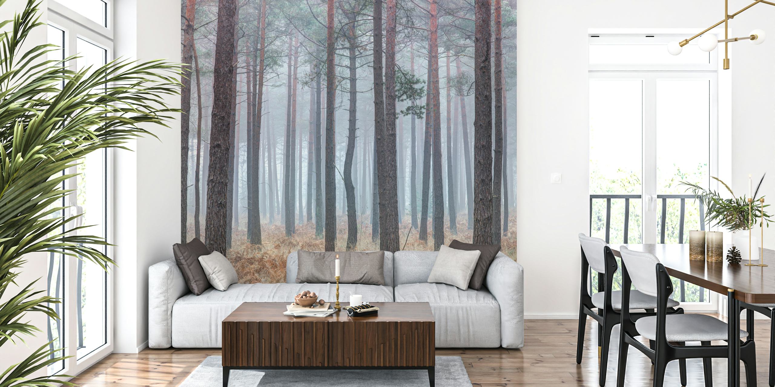 Misty forest with tall trees papel pintado