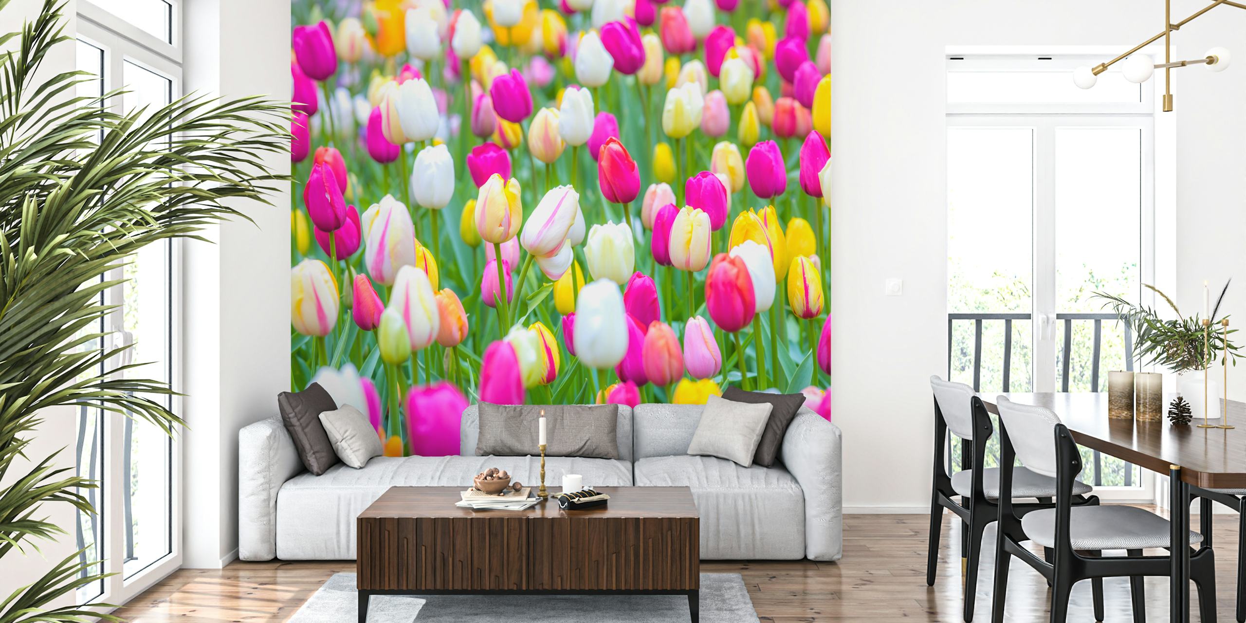 Colorful tulip flowers in pink, white, and yellow hues wallpaper