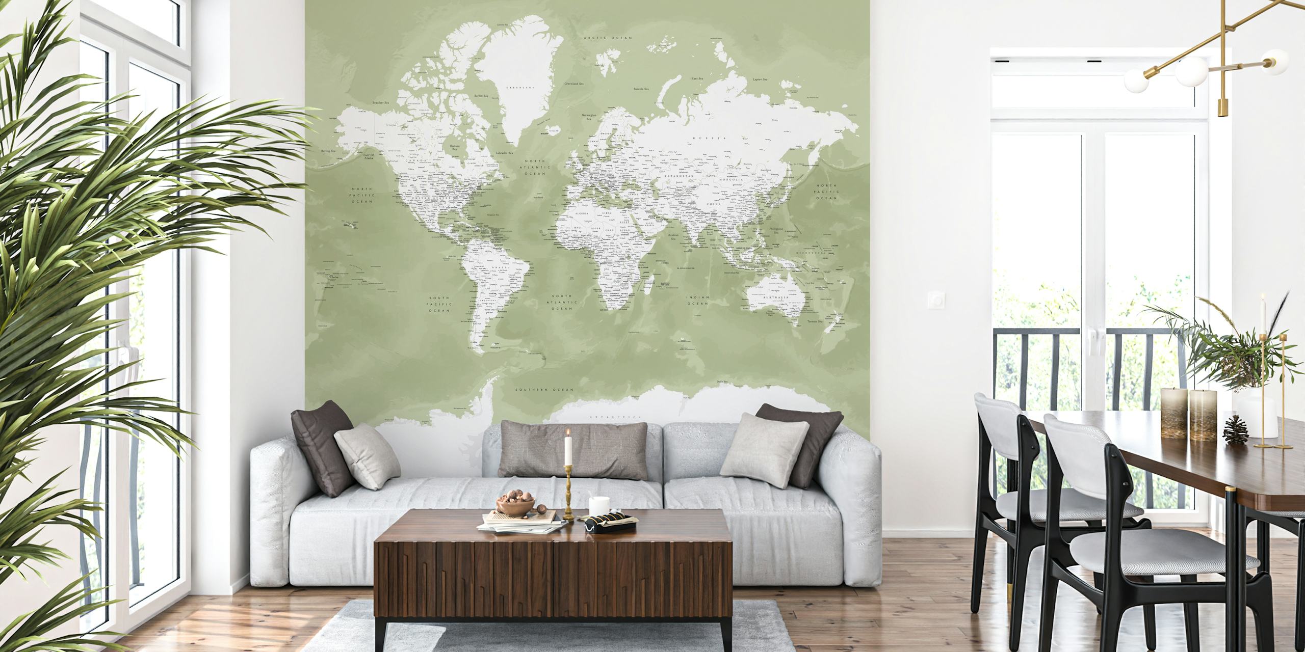 World Map Pacheco Antarctica wallpaper in a room