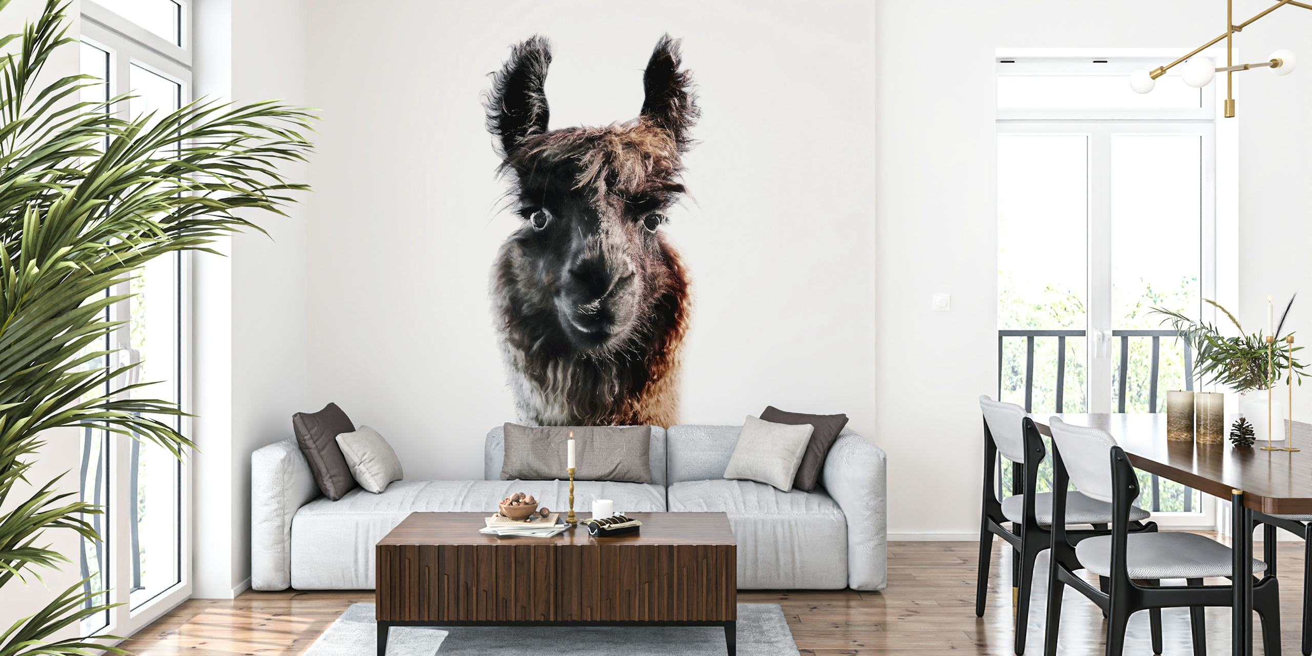 Lama George tapeta u postavci sobe