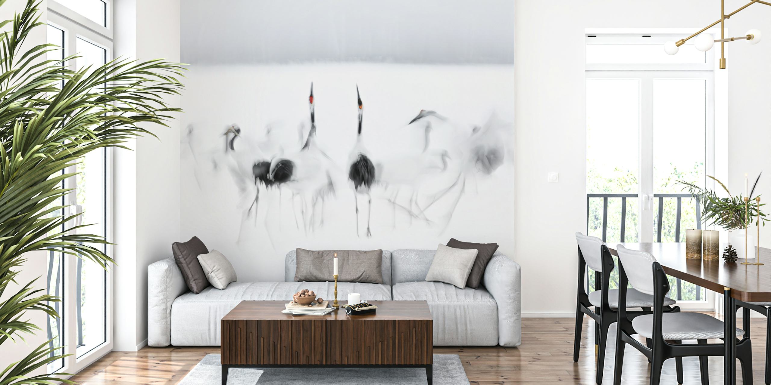 White cranes gracefully posing in a soft, blurred background wallpaper