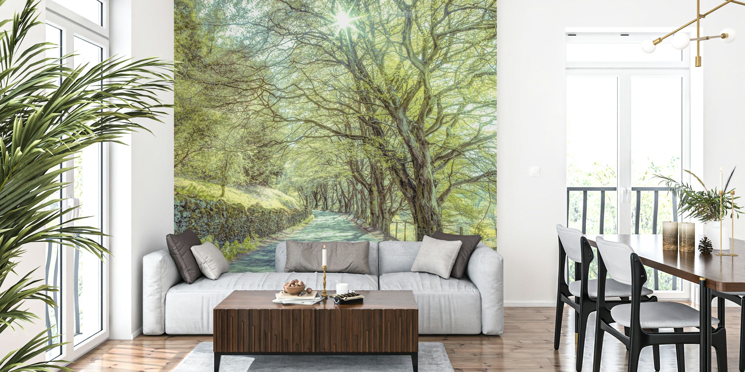 Solbelyst skogsväg tapet med träd som skapar en naturlig båge.