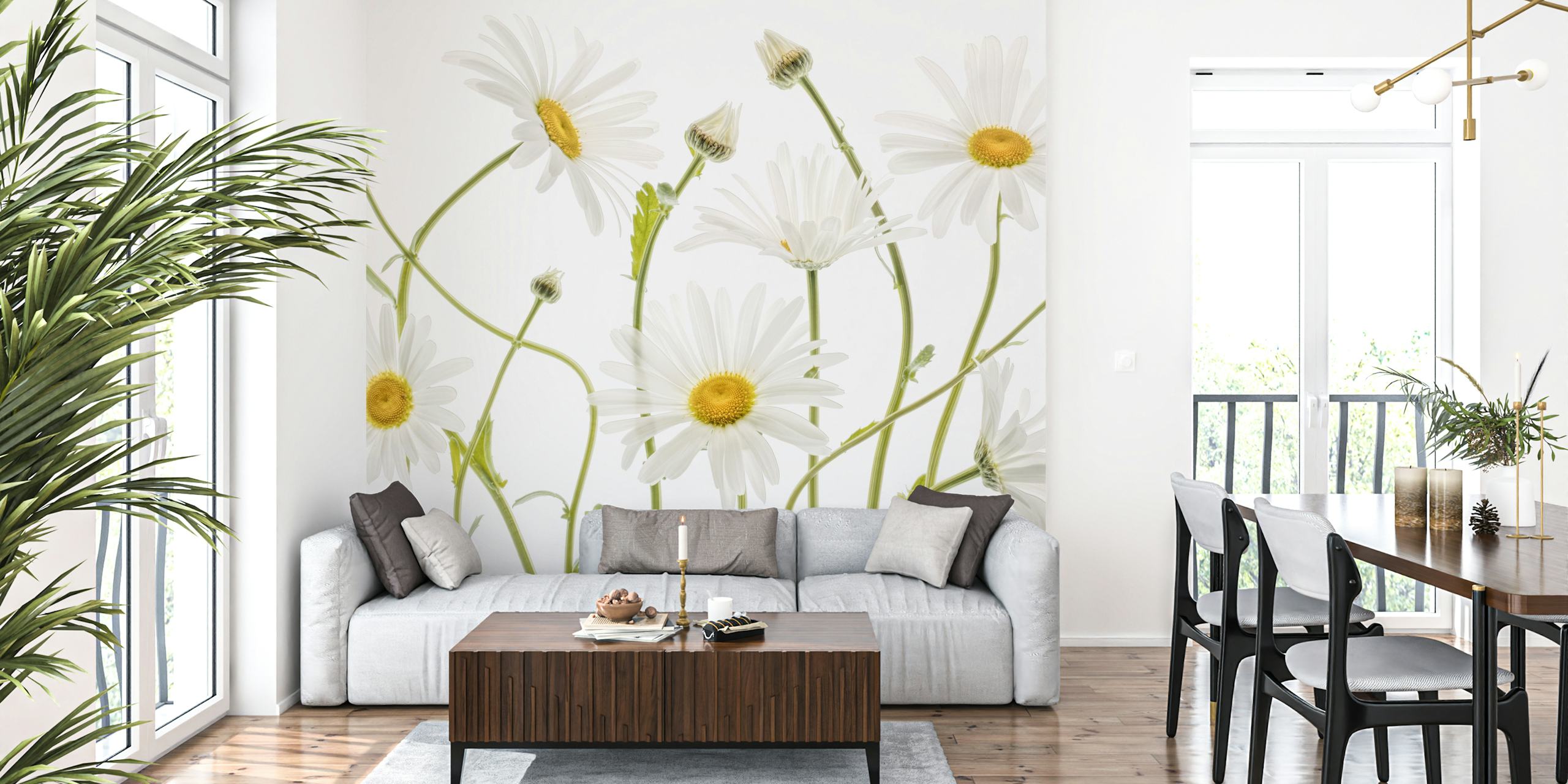 Ταπετσαρία Ox eye Daisies σε ένα δωμάτιο