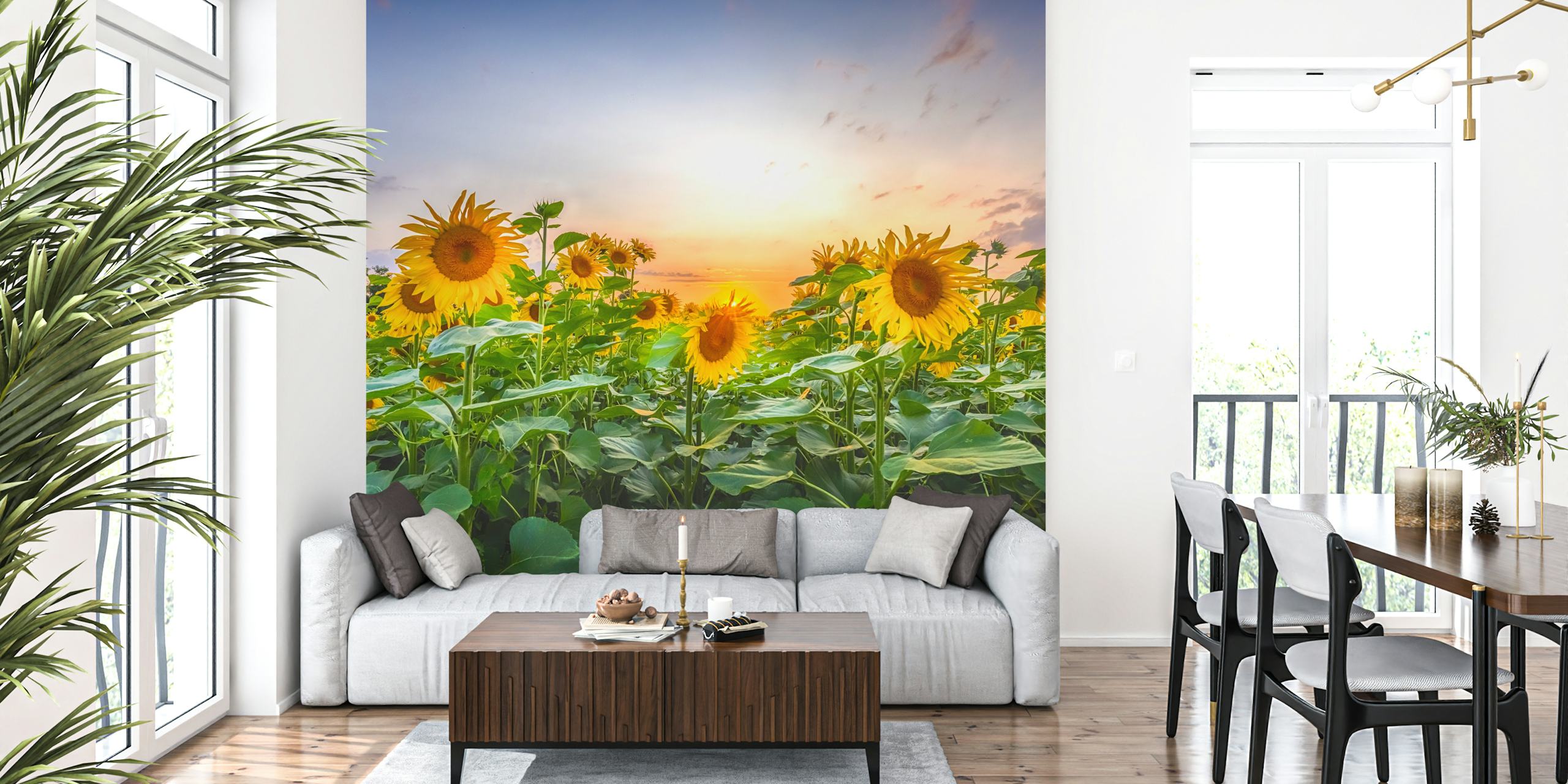 Vibrant sunflowers with a sunset background in yellow and green wallpaper