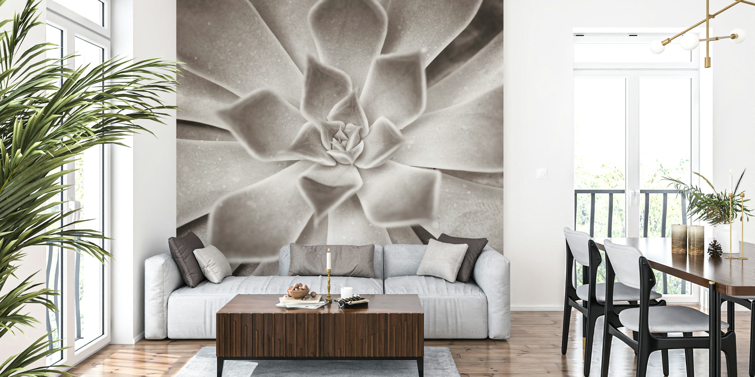 Diseño de papel tapiz Succulent Sensation en una habitación