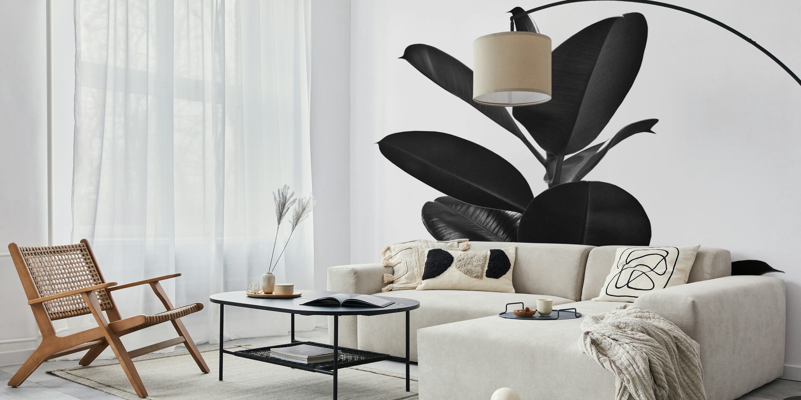 Ficus Finesse 2 zidna obloga u sobi