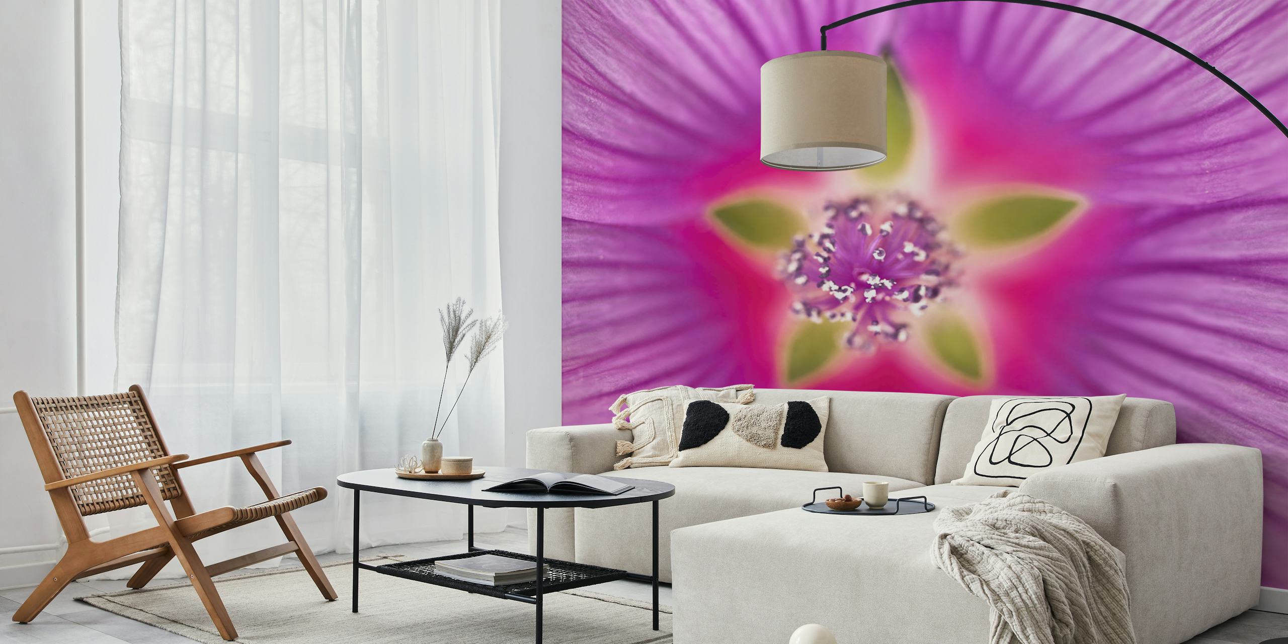 Close-up of purple Lavatera flower wallpaper