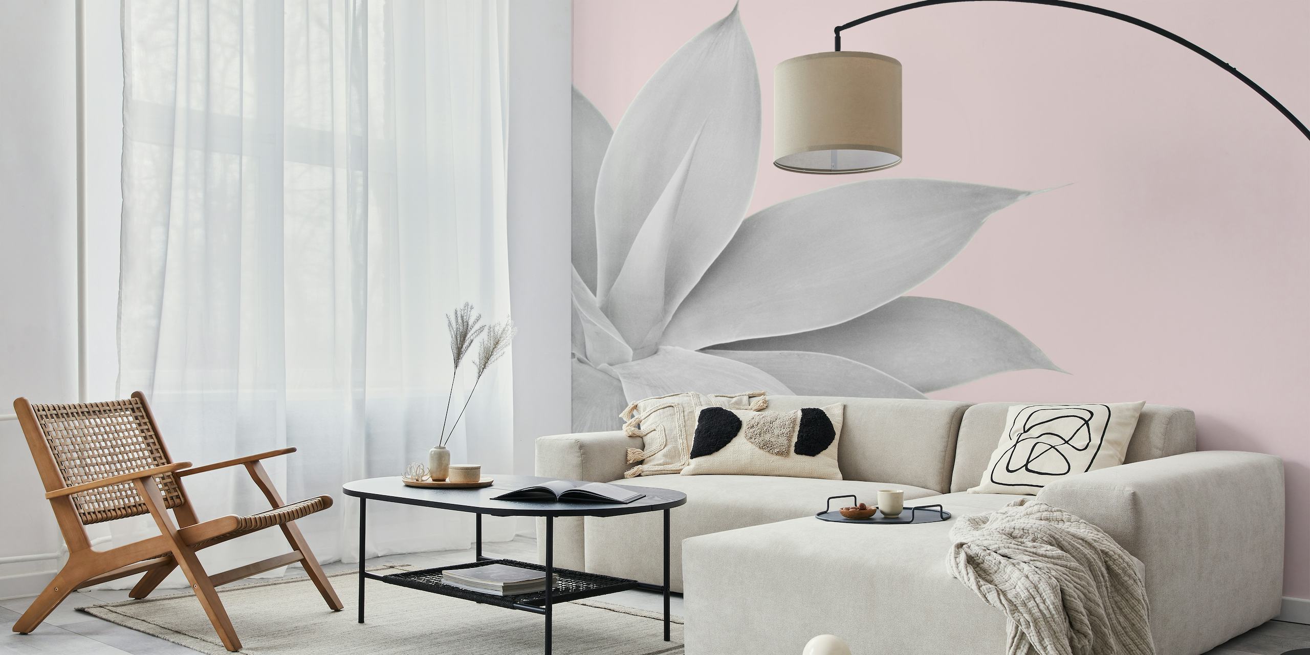 Minimalist agave plant wall mural with pink background