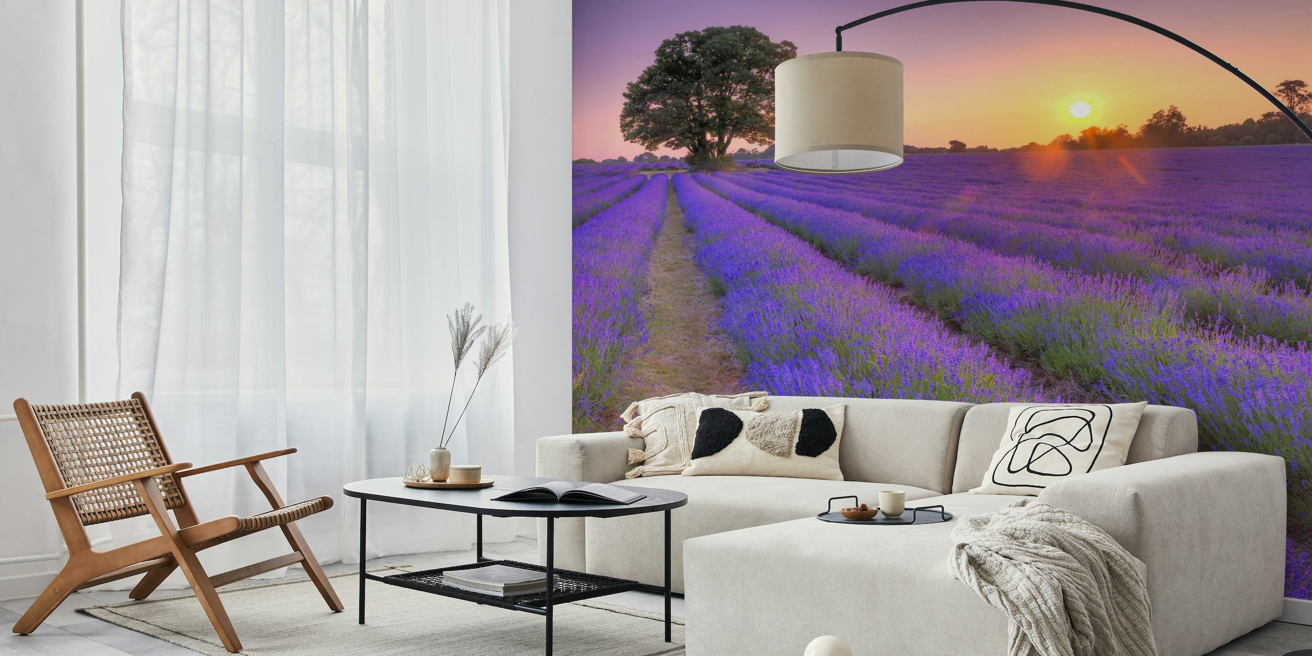 Lavender field at sunset papel de parede