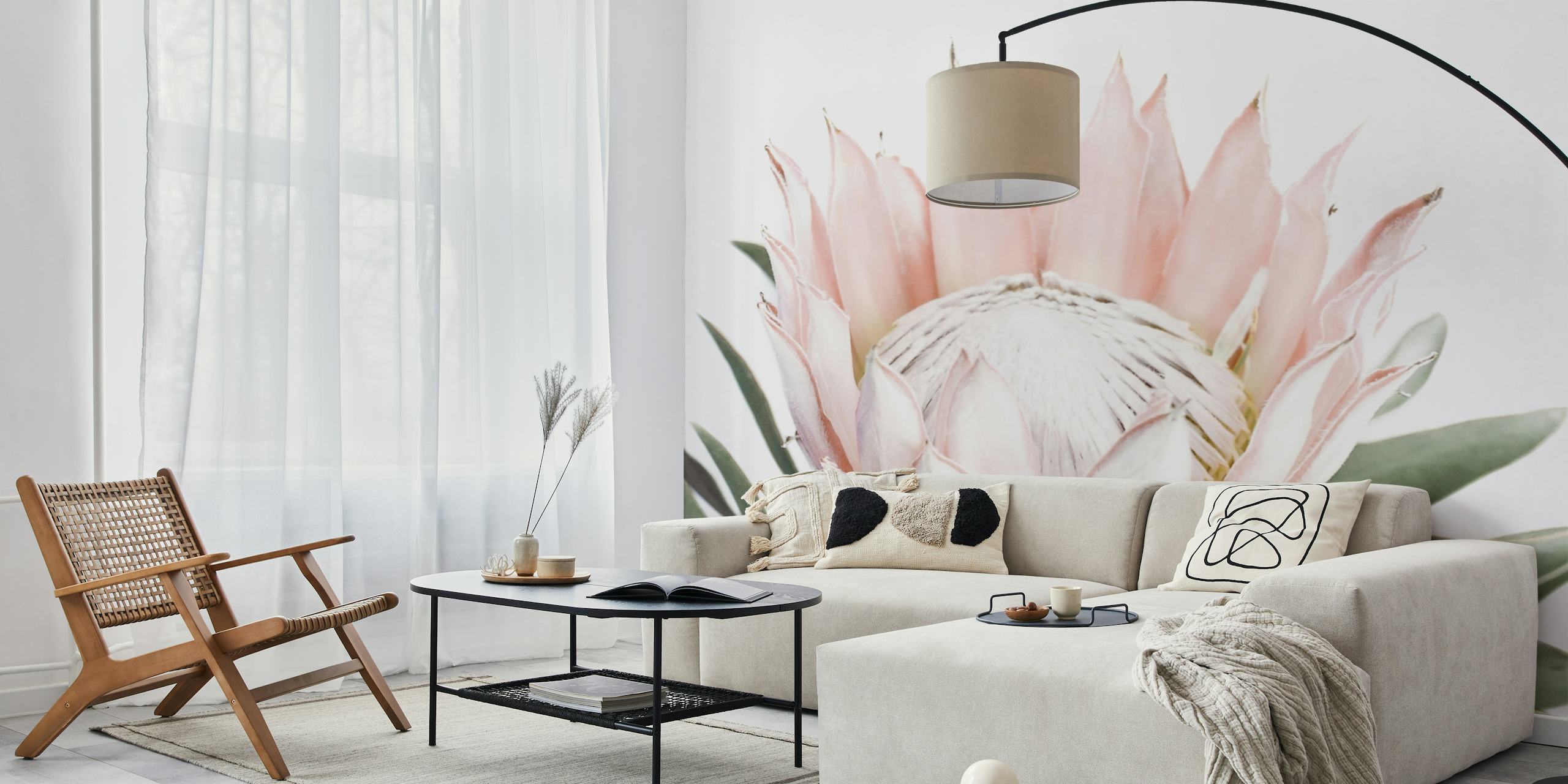 Fotomural vinílico de parede de flores Blush Pink Protea com fundo branco minimalista