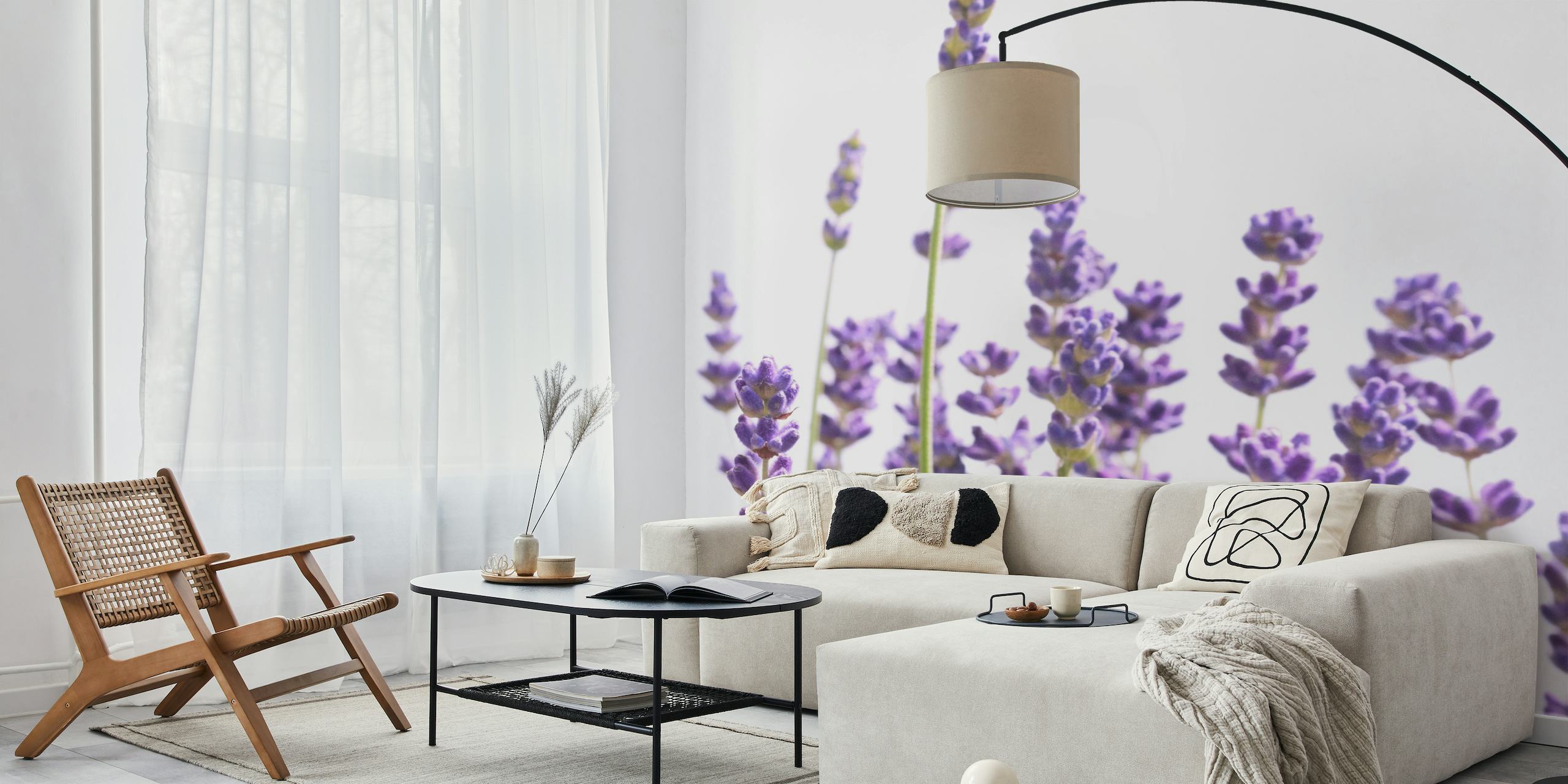 Soothing purple lavender stems against a clean white background wall mural