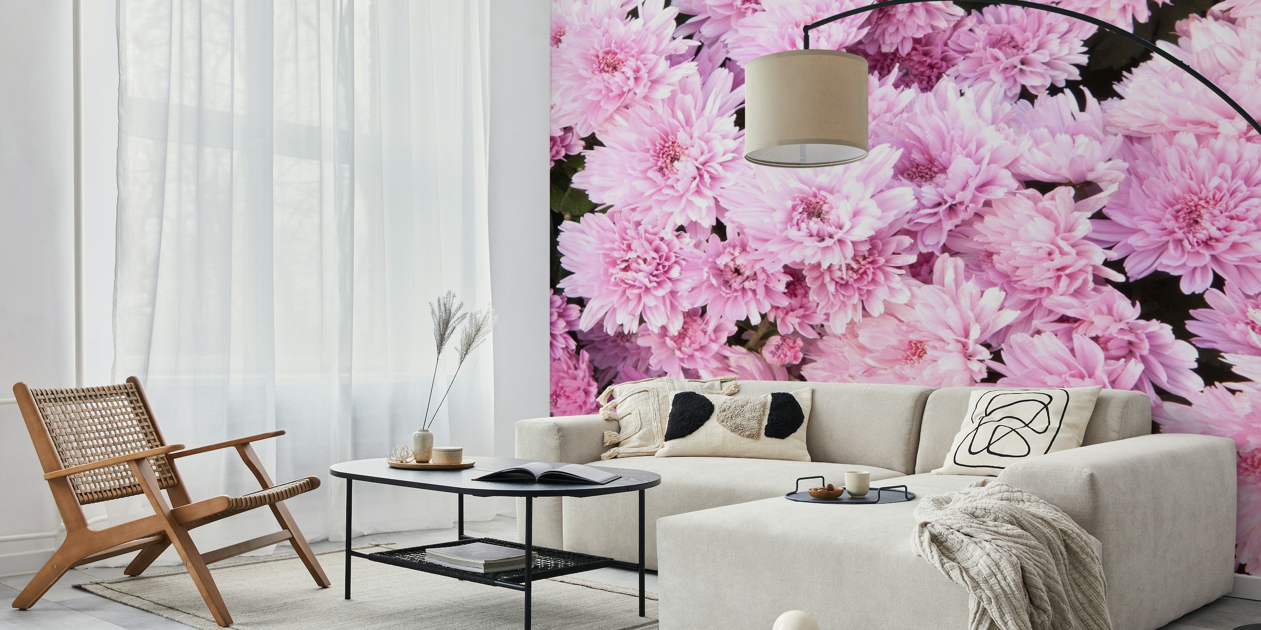 Bløde lyserøde krysantemumblomster fylder rammen og skaber et frodigt blomstret vægmaleri