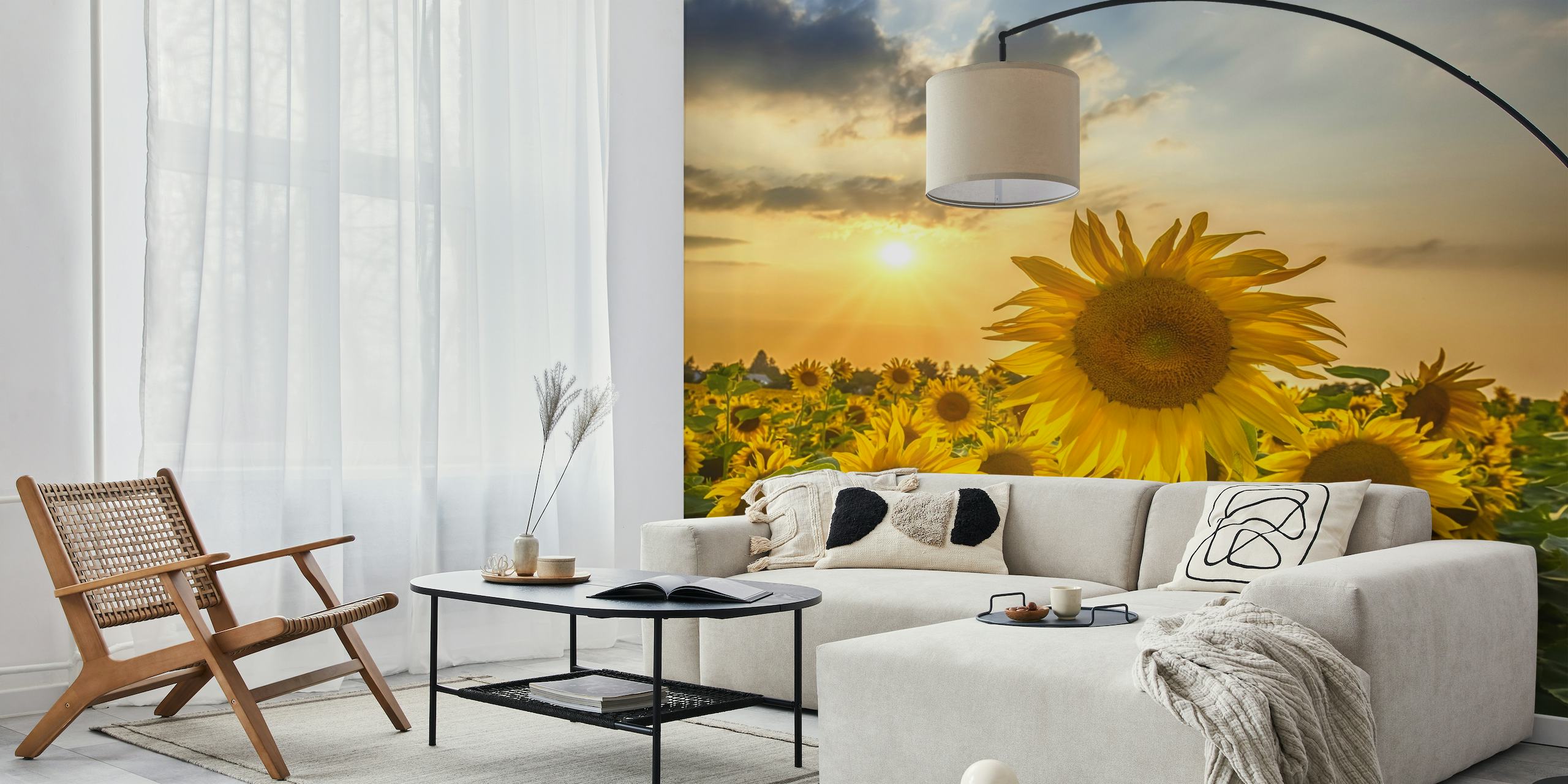 Sunflower field at sunset wallpaper