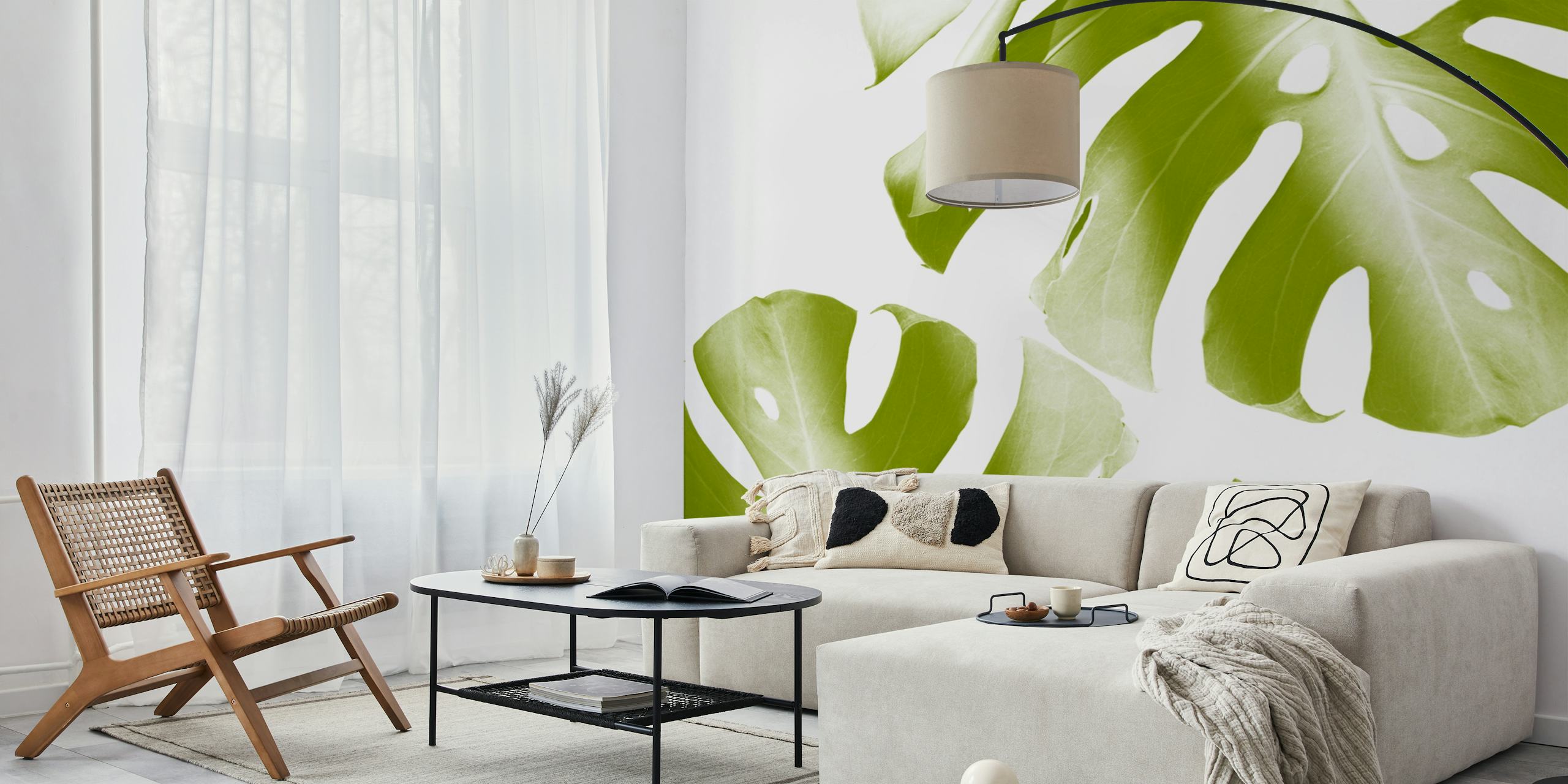 Green Monstera leaves on white background wallpaper