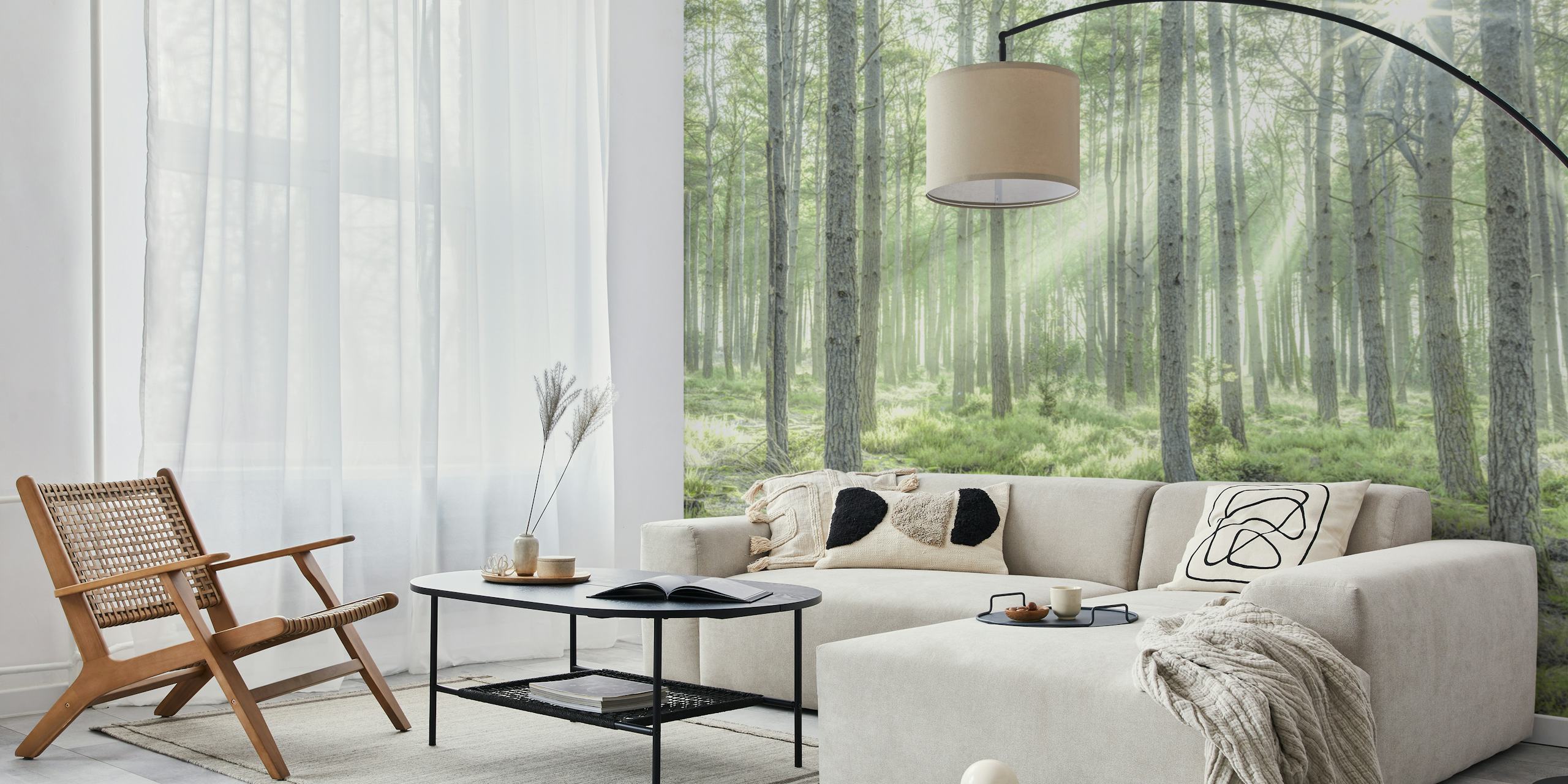 Forest Sunburst wallpaper in a room