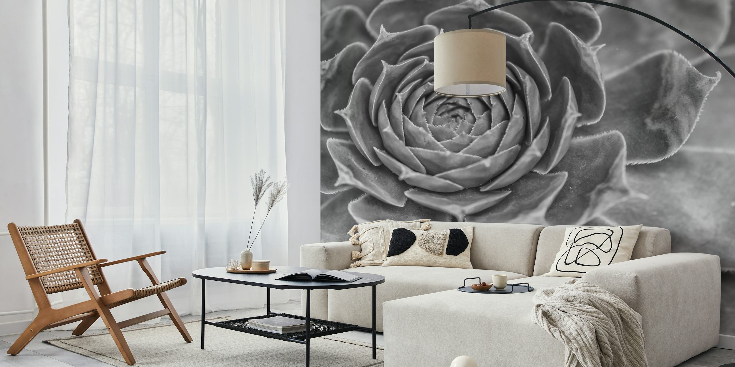 Echeveria wallpaper in living room setting