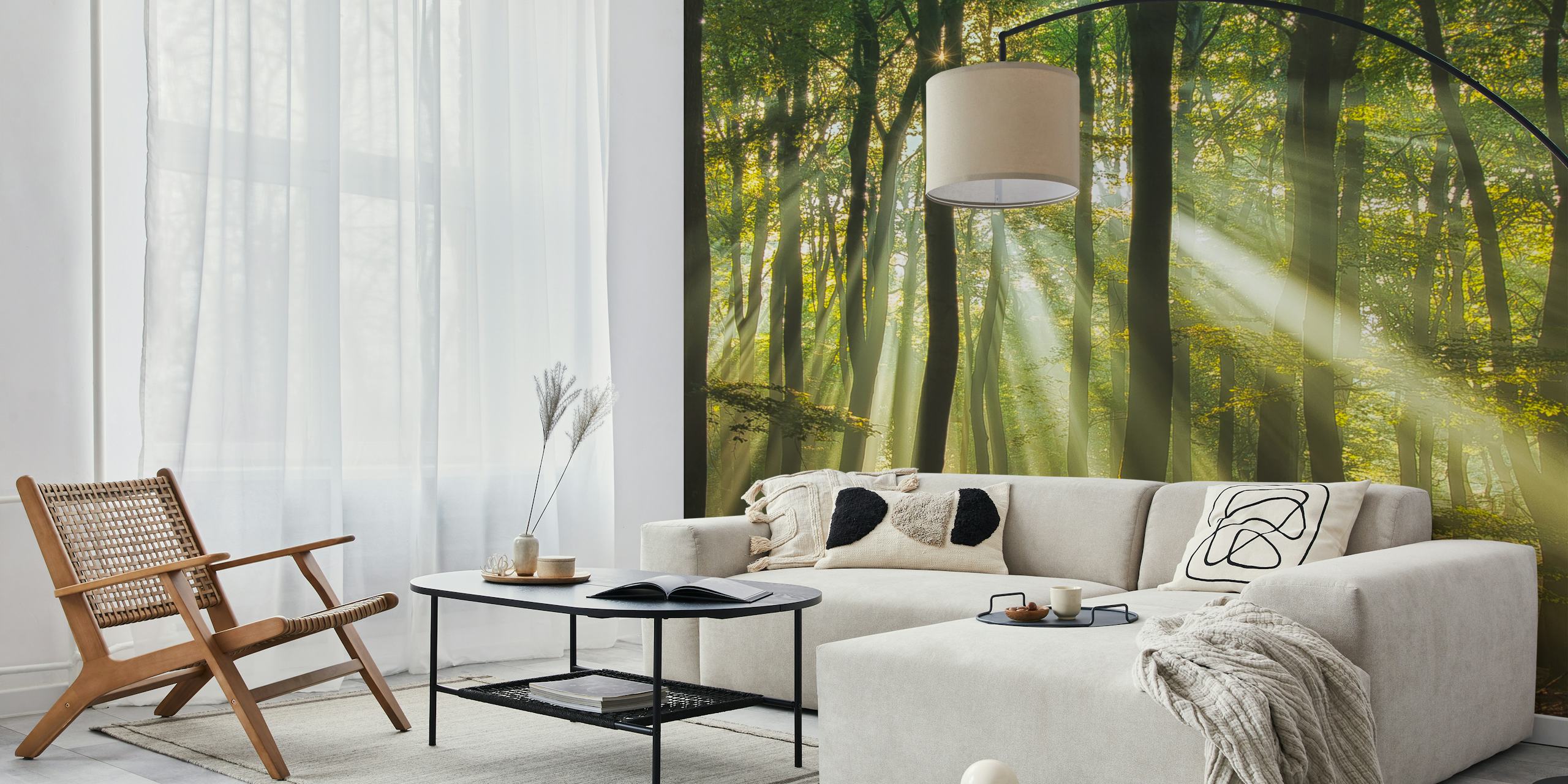 Sunlight streaming through trees in a forest wallpaper
