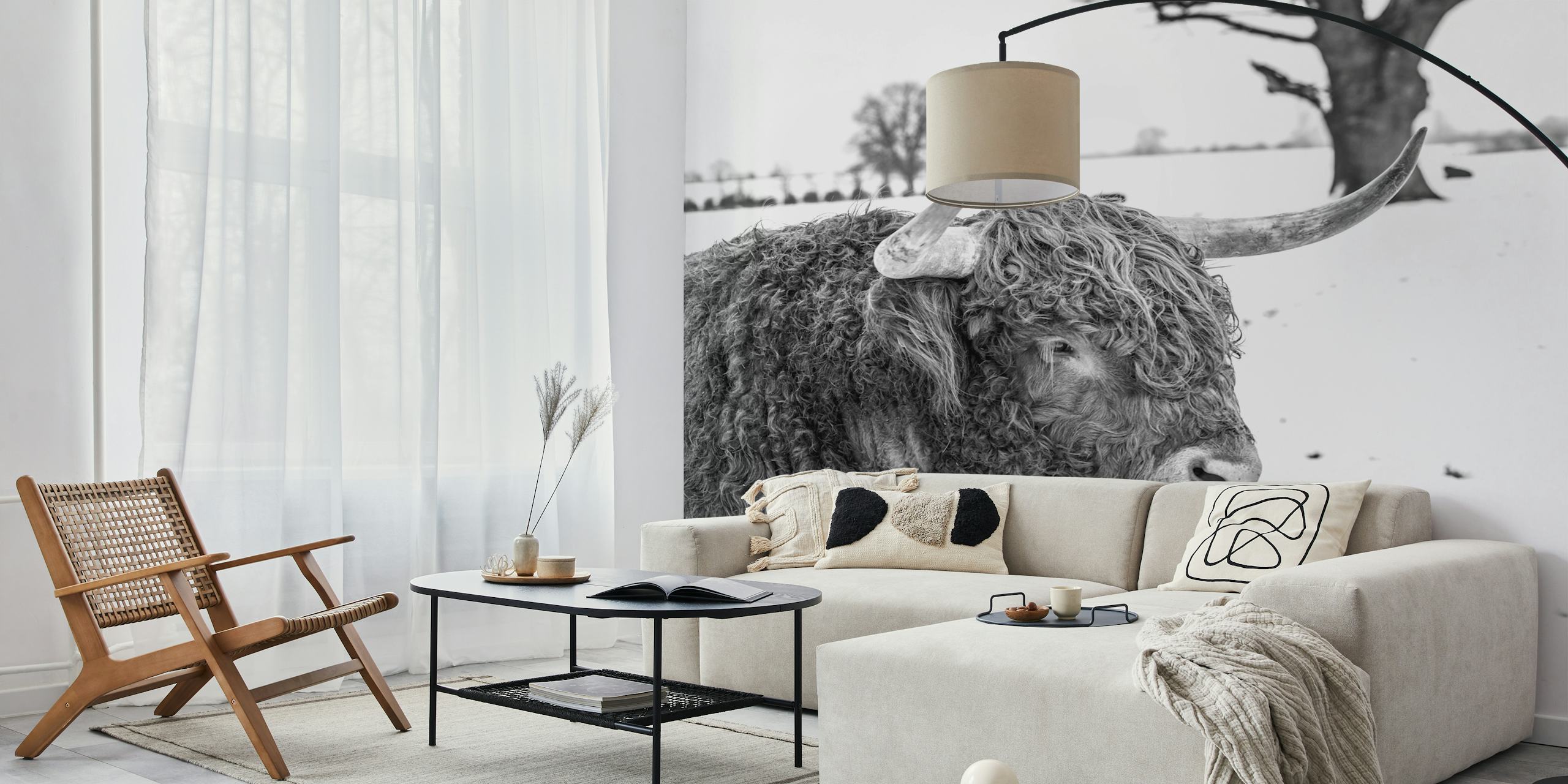 Iconic Highland Cow wallpaper in a room