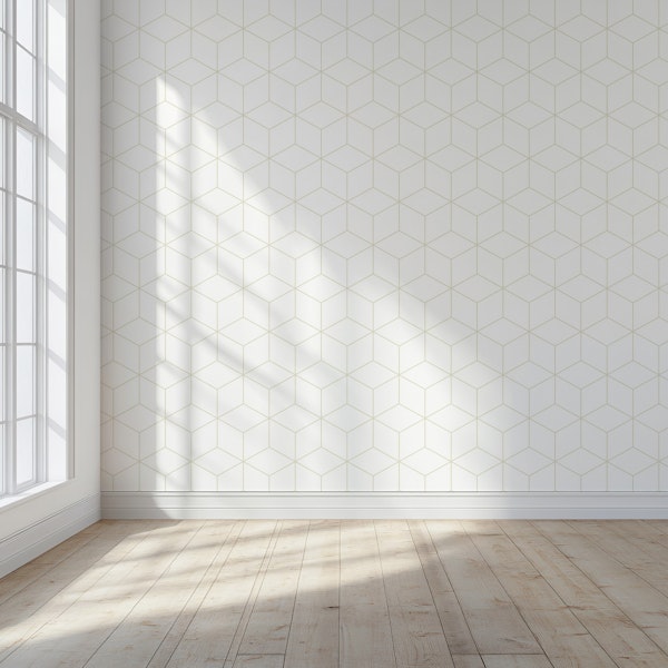 Simple Hexagon Cubes - Warm Minimalist 2