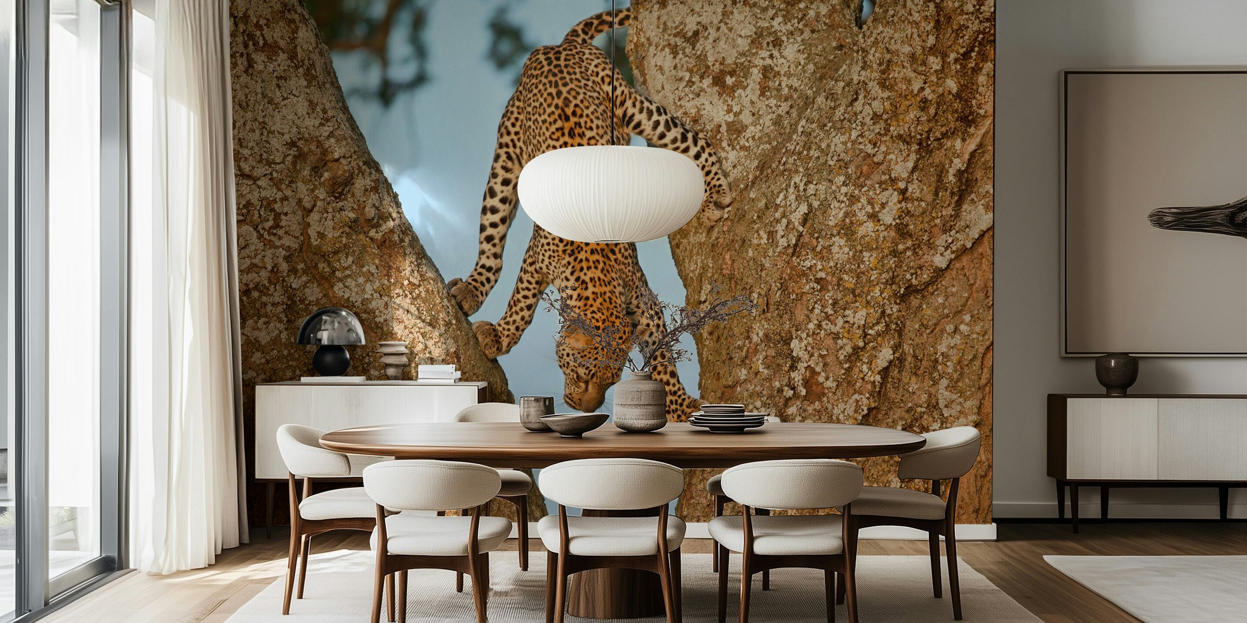 Leopard climbing upside down between tree branches wallpaper