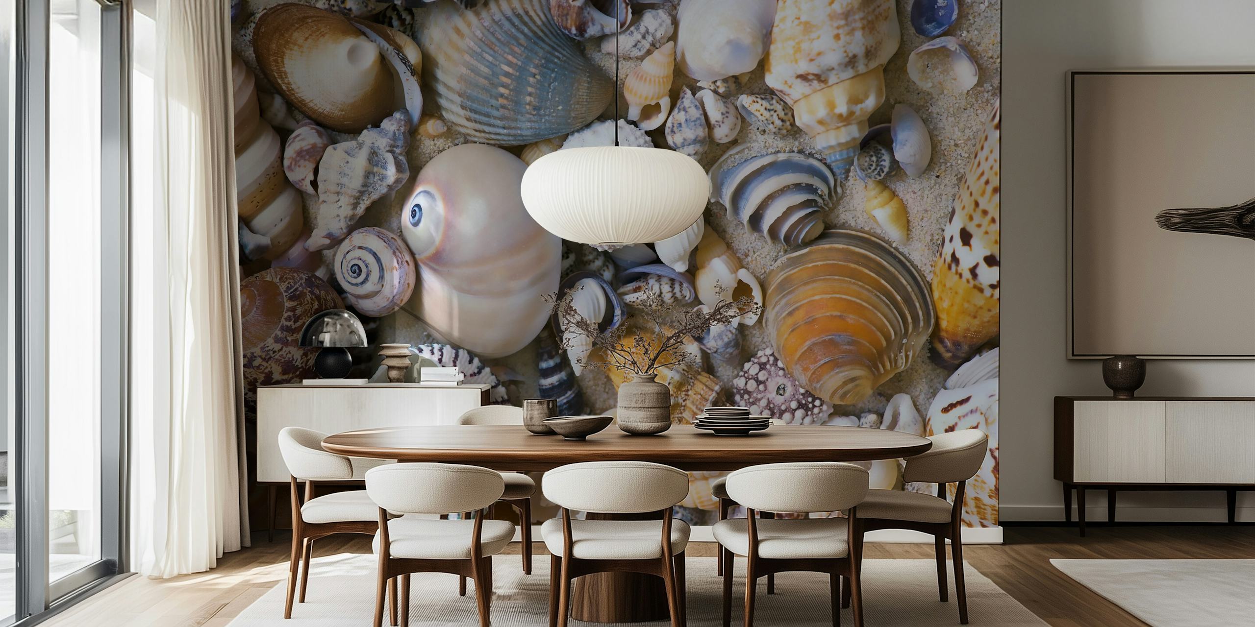 Sea Shell Collection wallpaper in a room