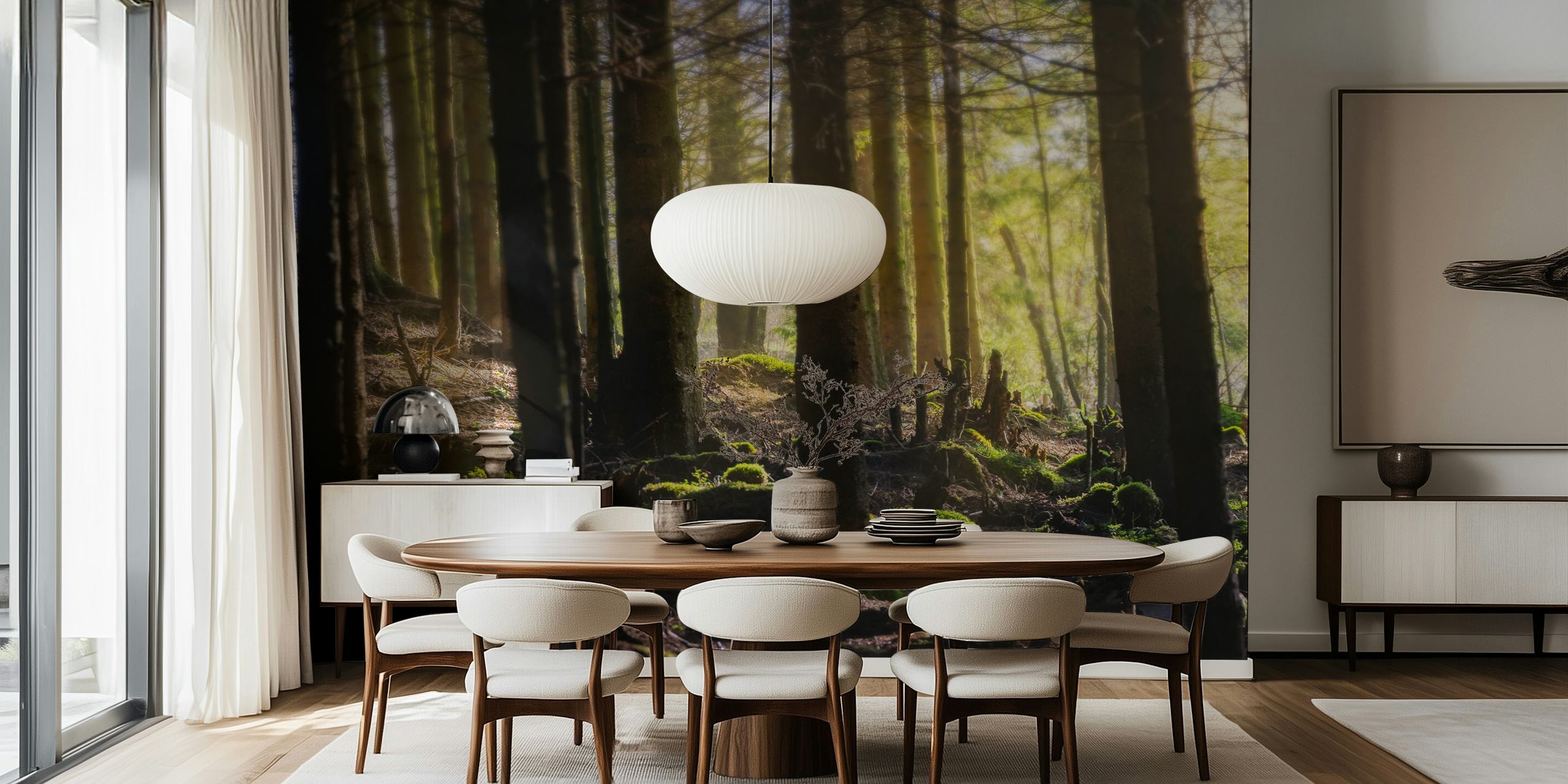 Forest lights wallpaper in a room