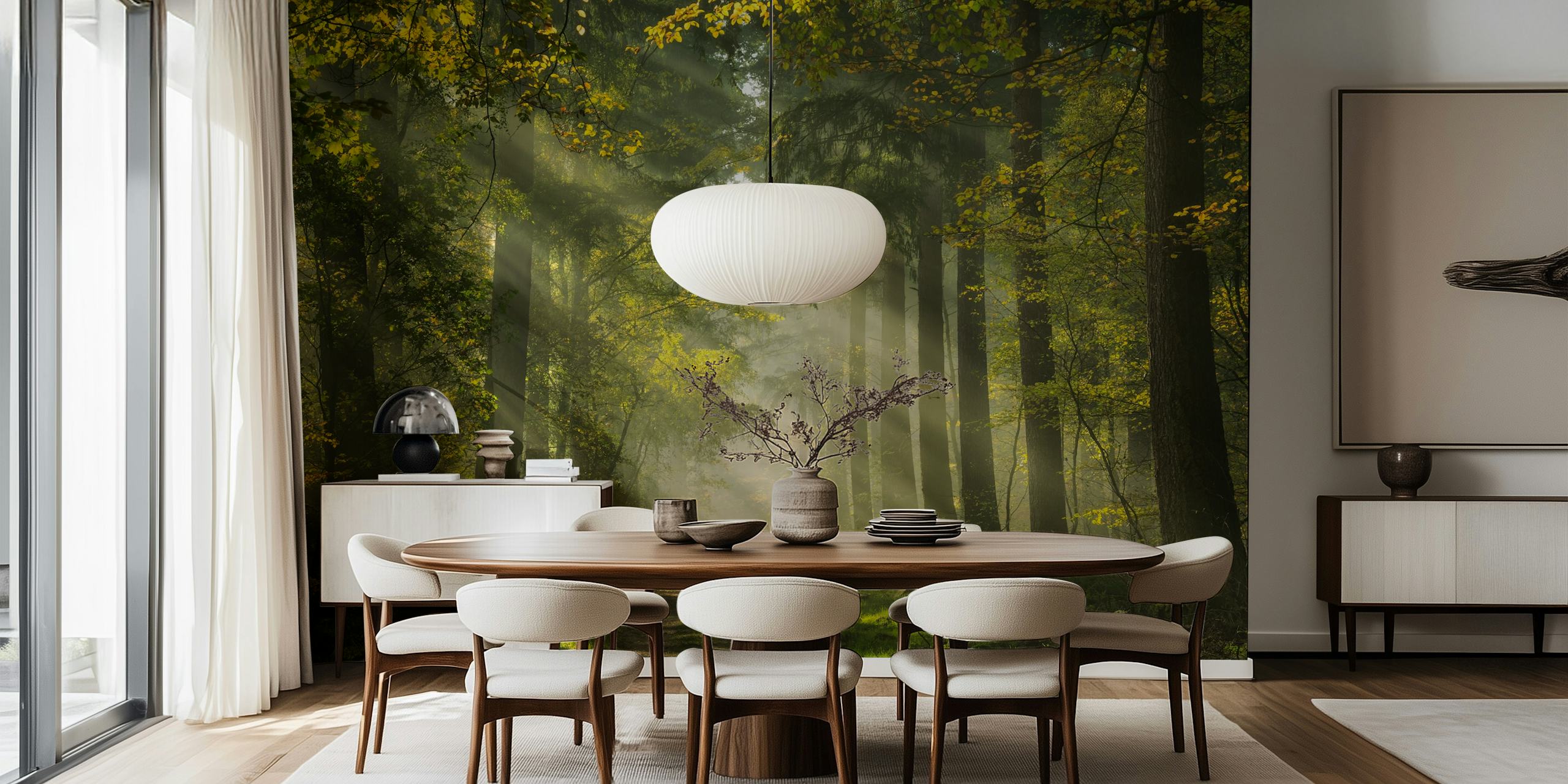 Dutch forest wallpaper com raios de sol