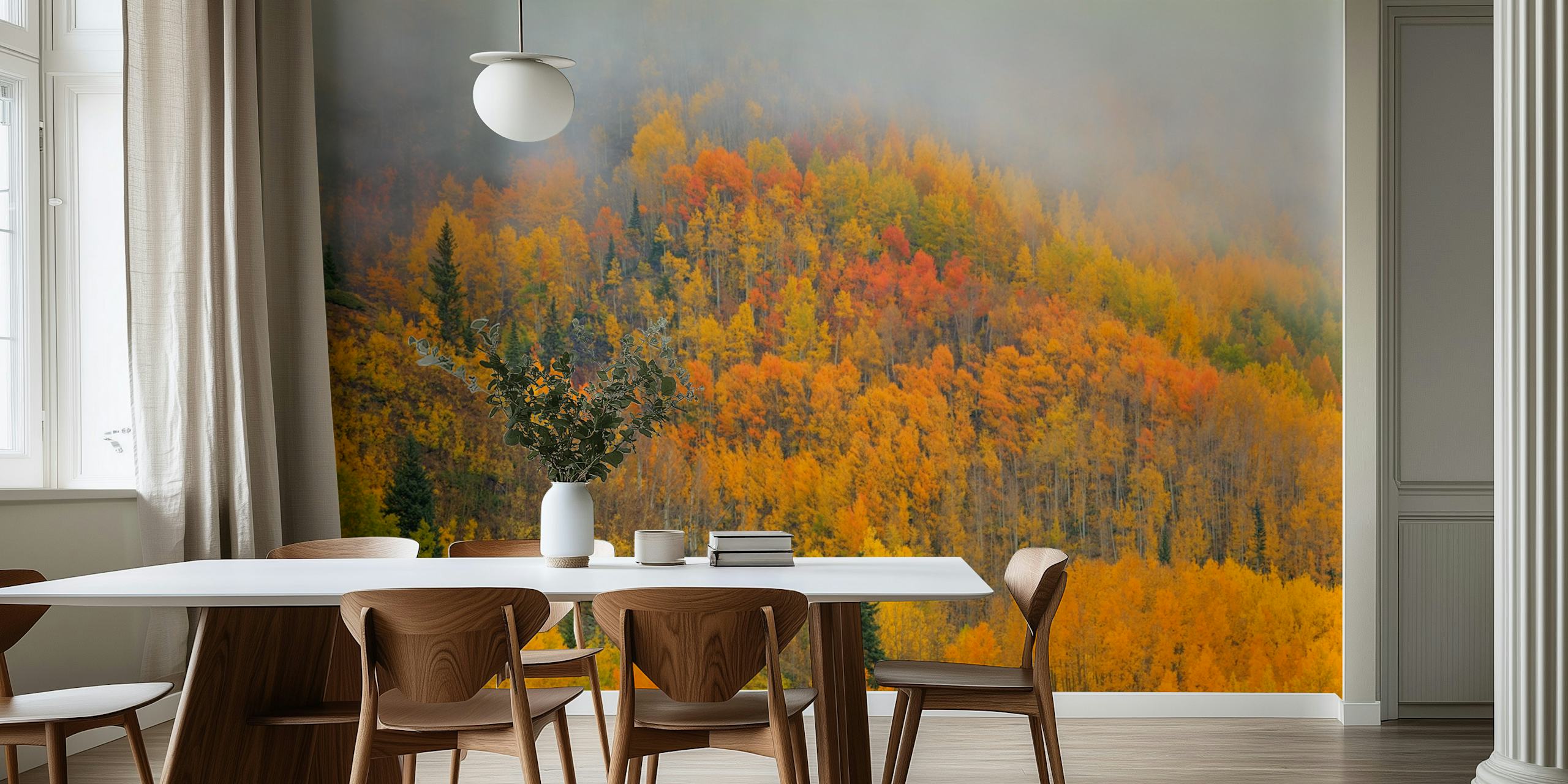 Colorful autumn forest with orange, yellow, and green trees wallpaper
