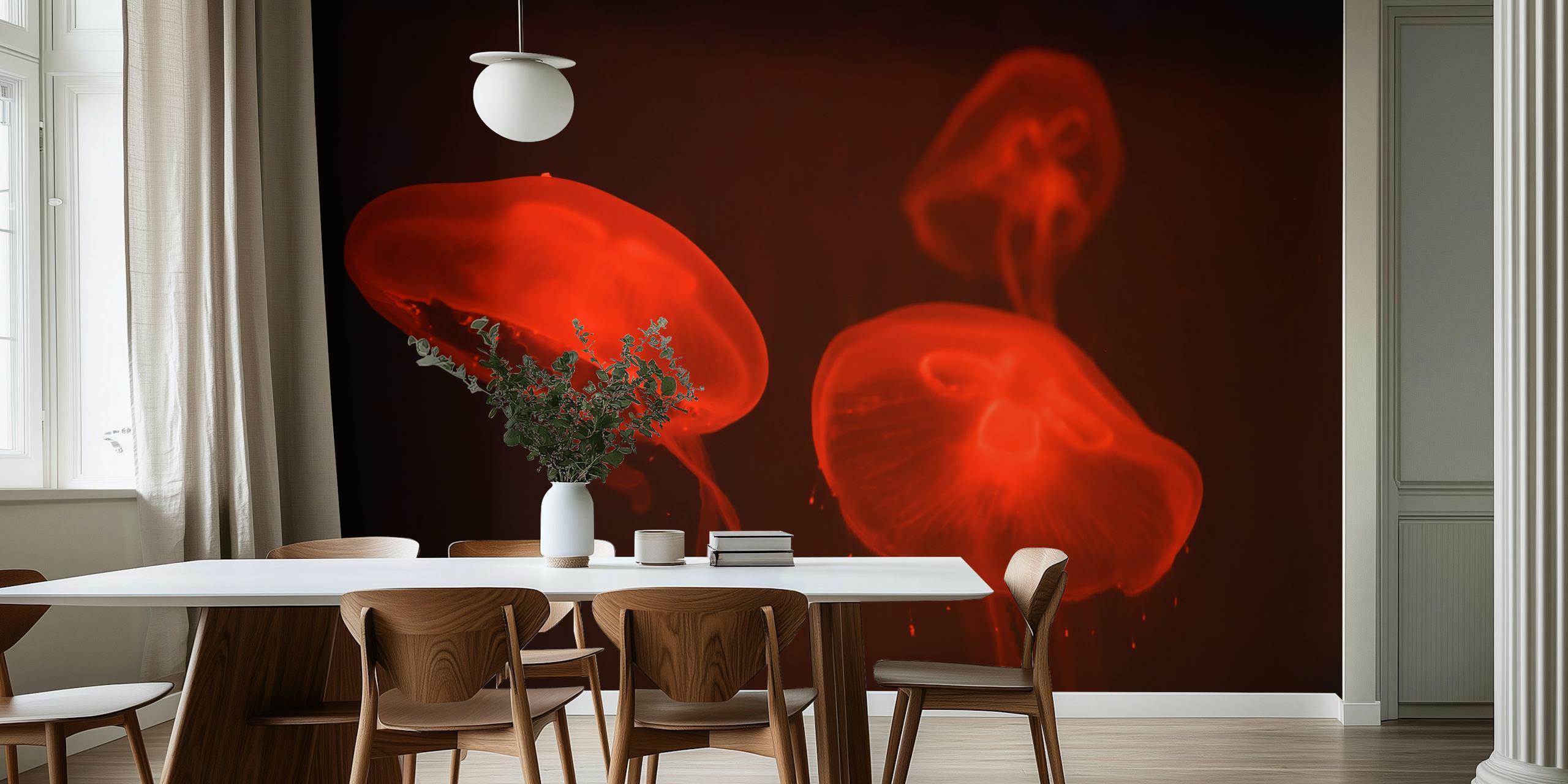 Red jellyfish in dark background wallpaper