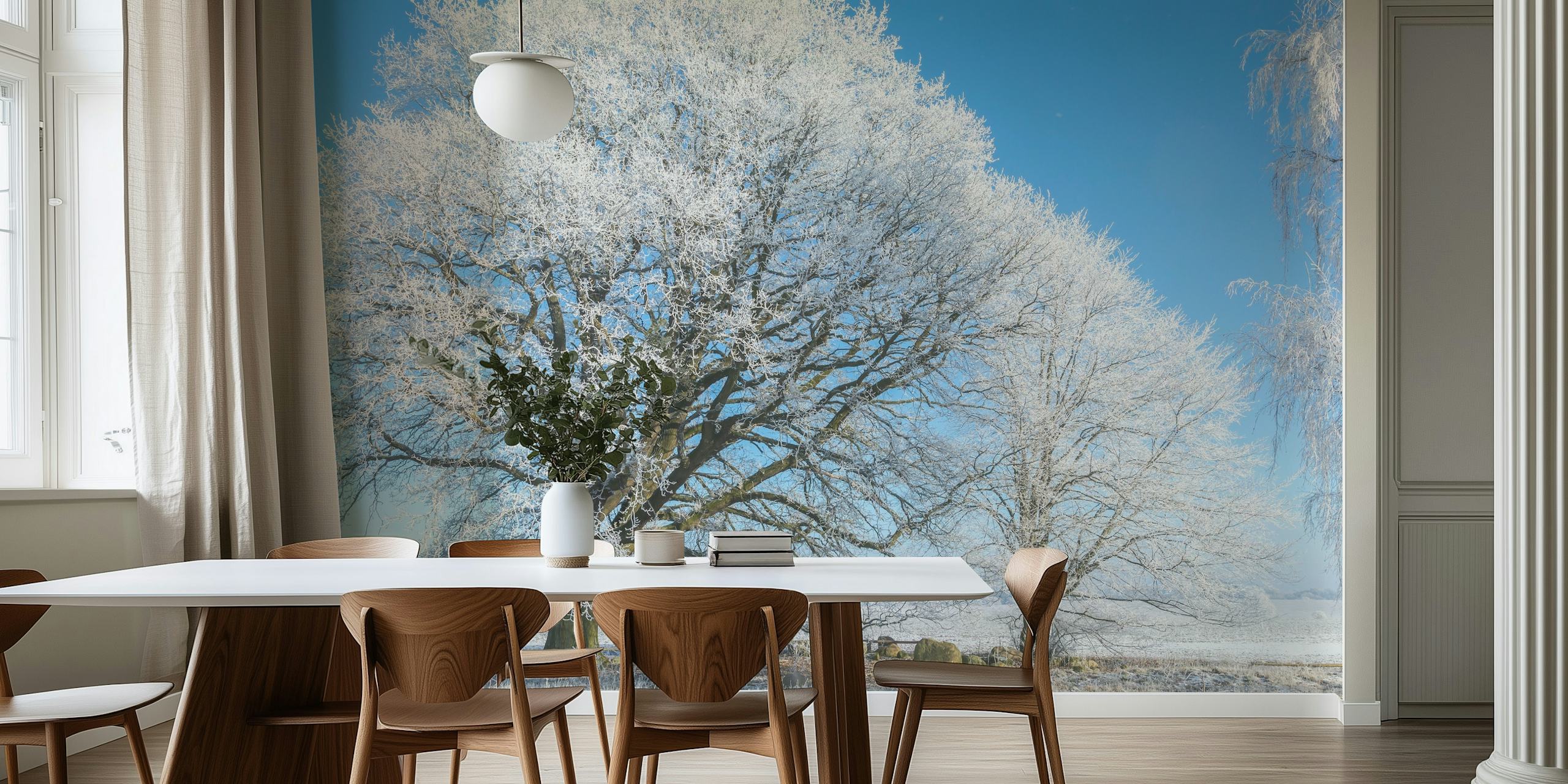 Winter landscape wallpaper with frosted trees