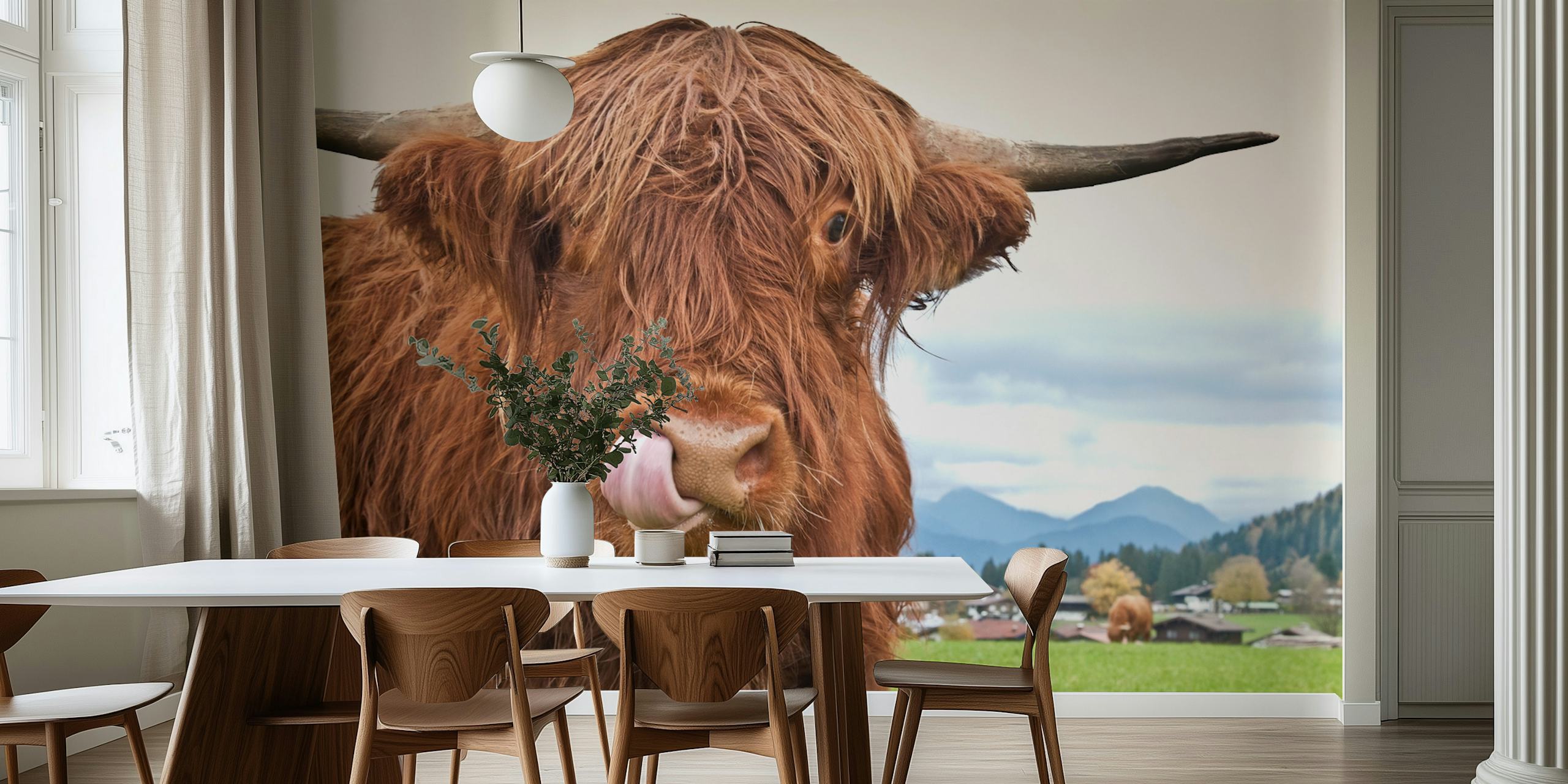 Highland cow with textured reddish fur against green grass and a blue sky wallpaper