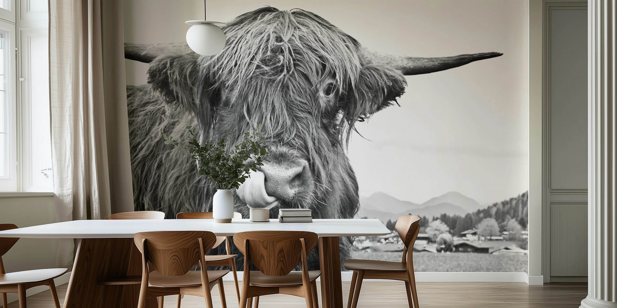 Highland cow with long hair and horns black and white wallpaper