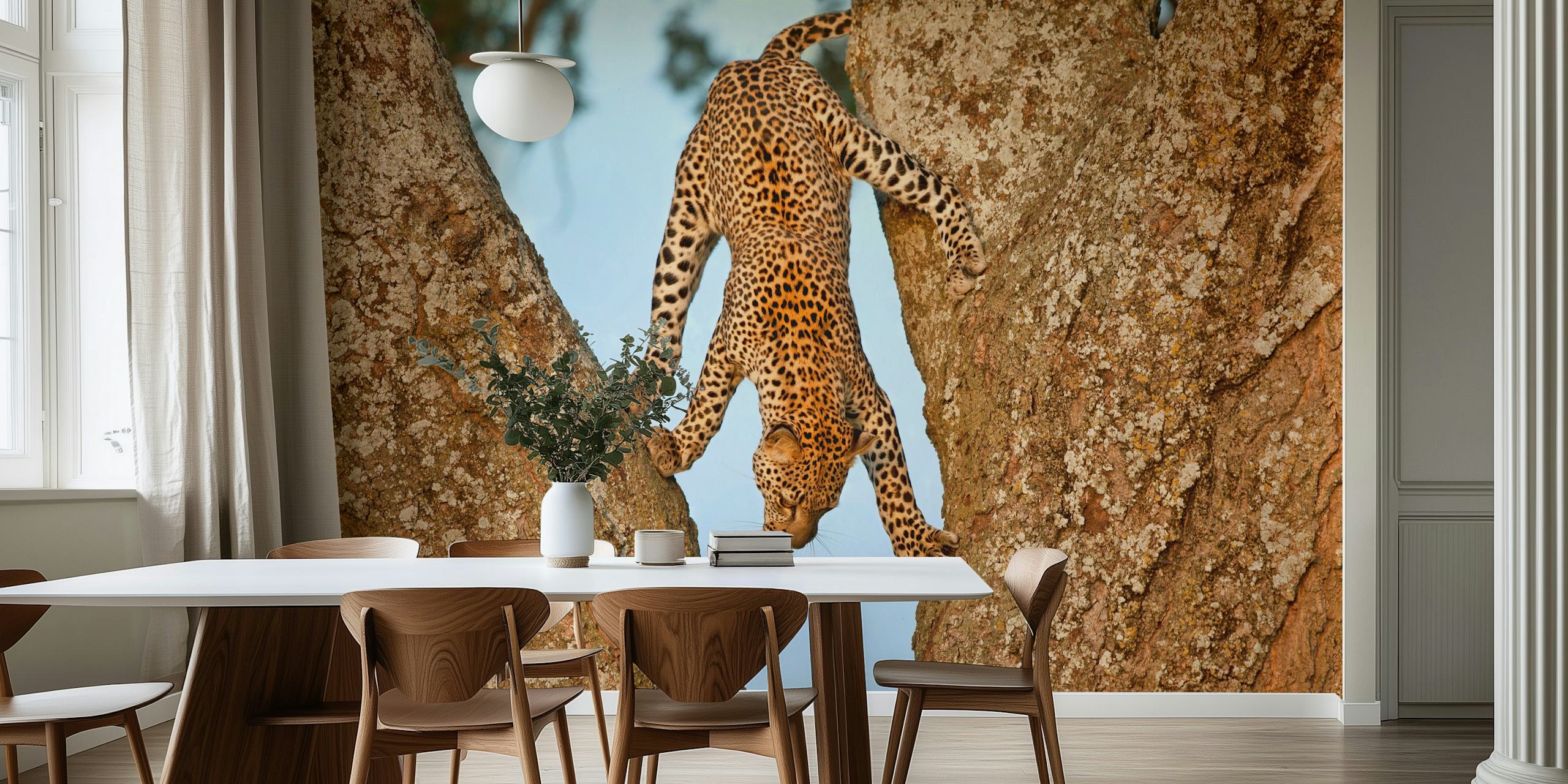 Leopard climbing upside down between tree branches wallpaper